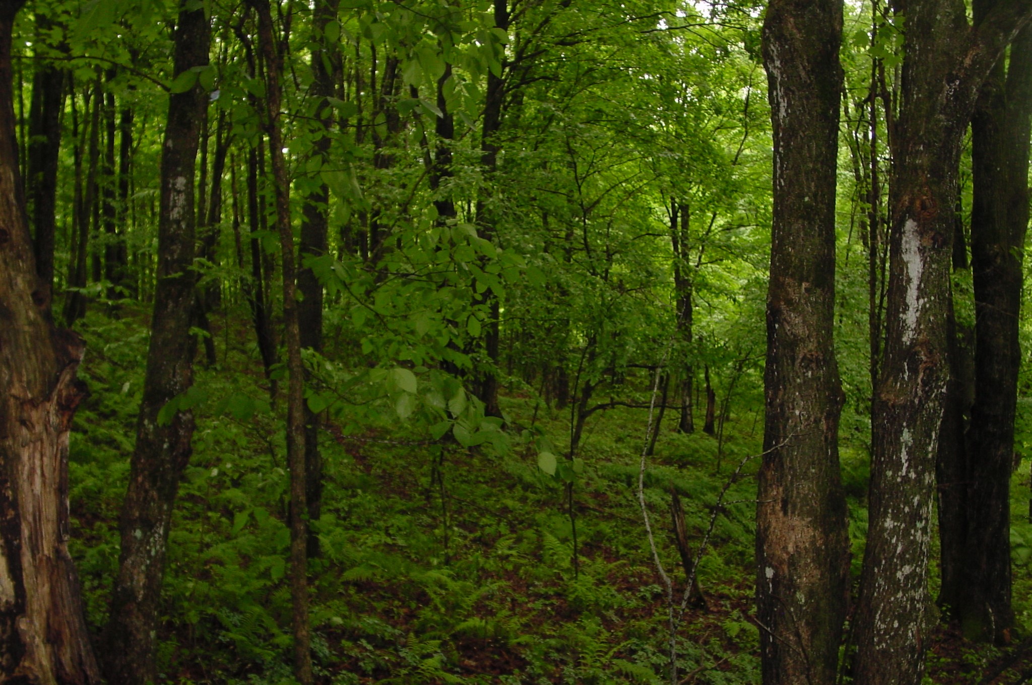 Thumbnail 35
