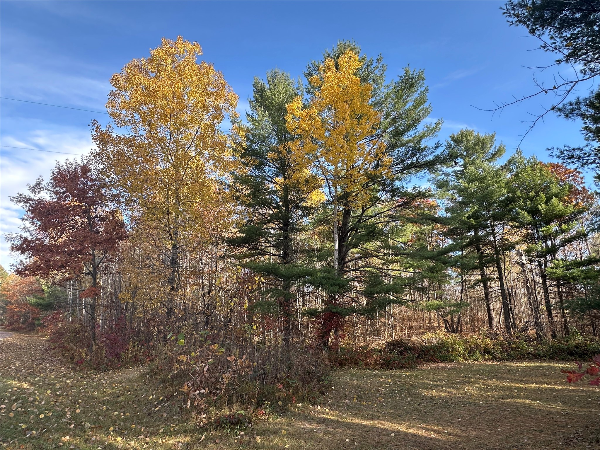 Springbrook Land Real Estate