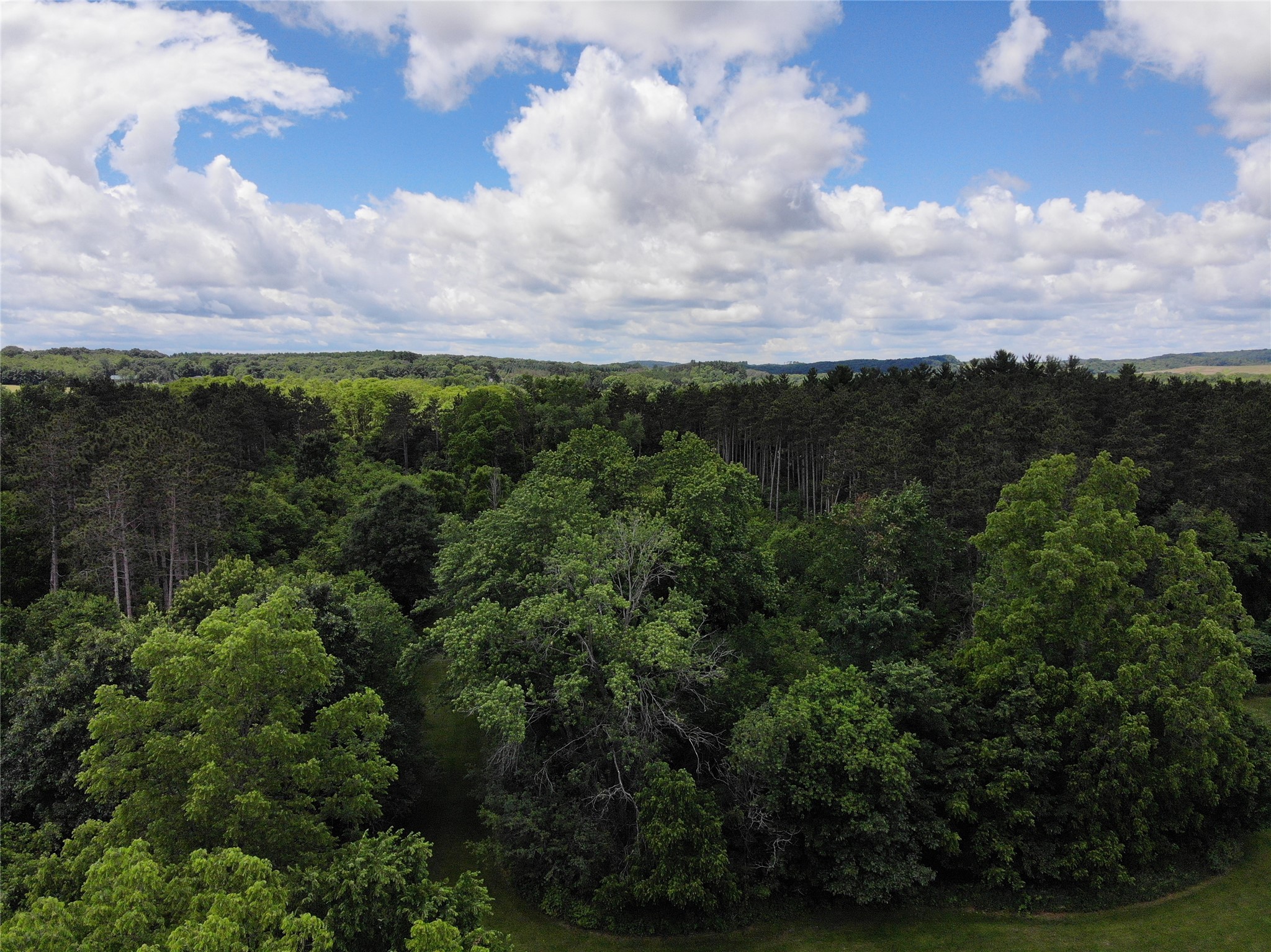 Property Photo #47