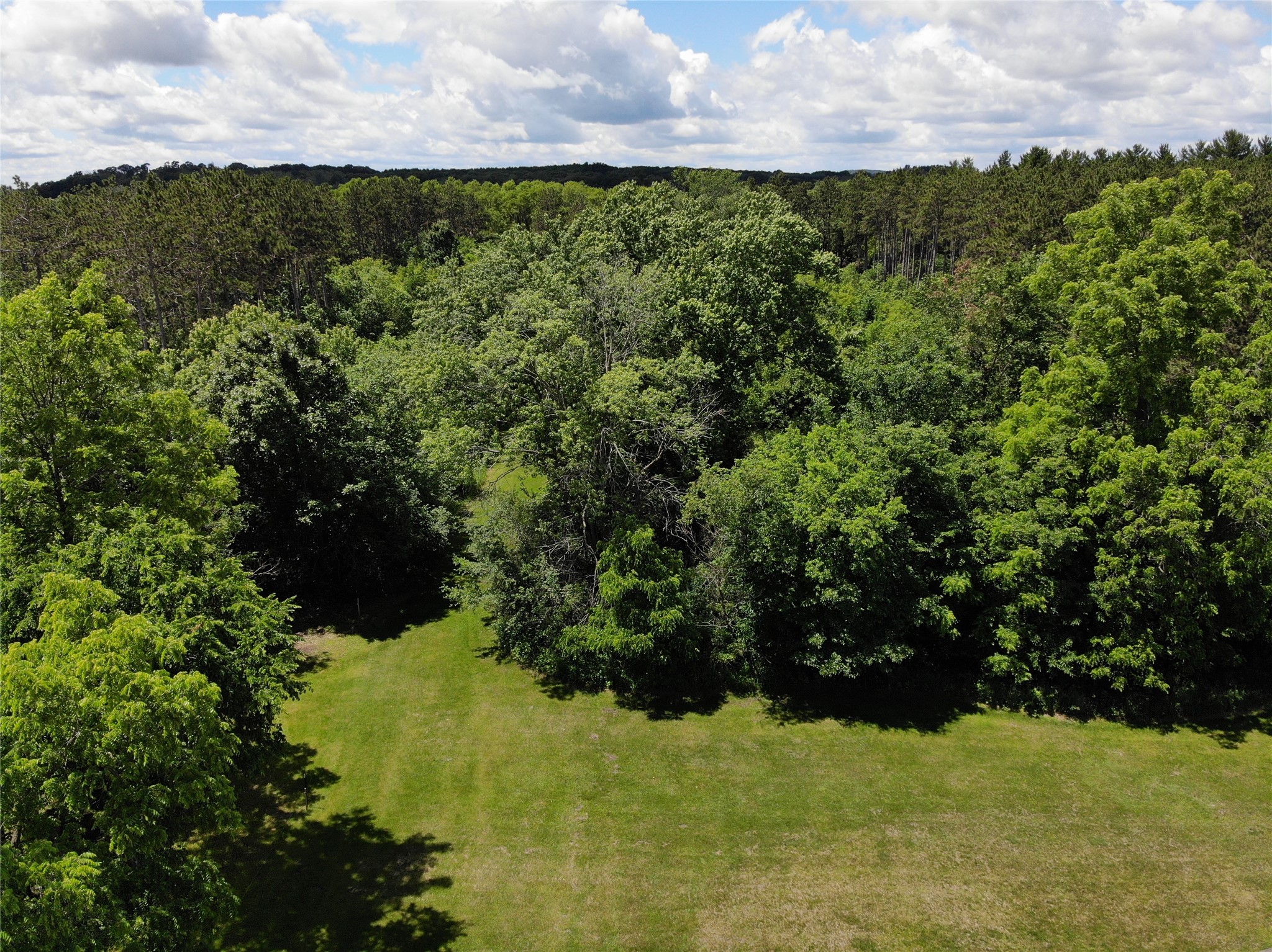 Property Photo #48