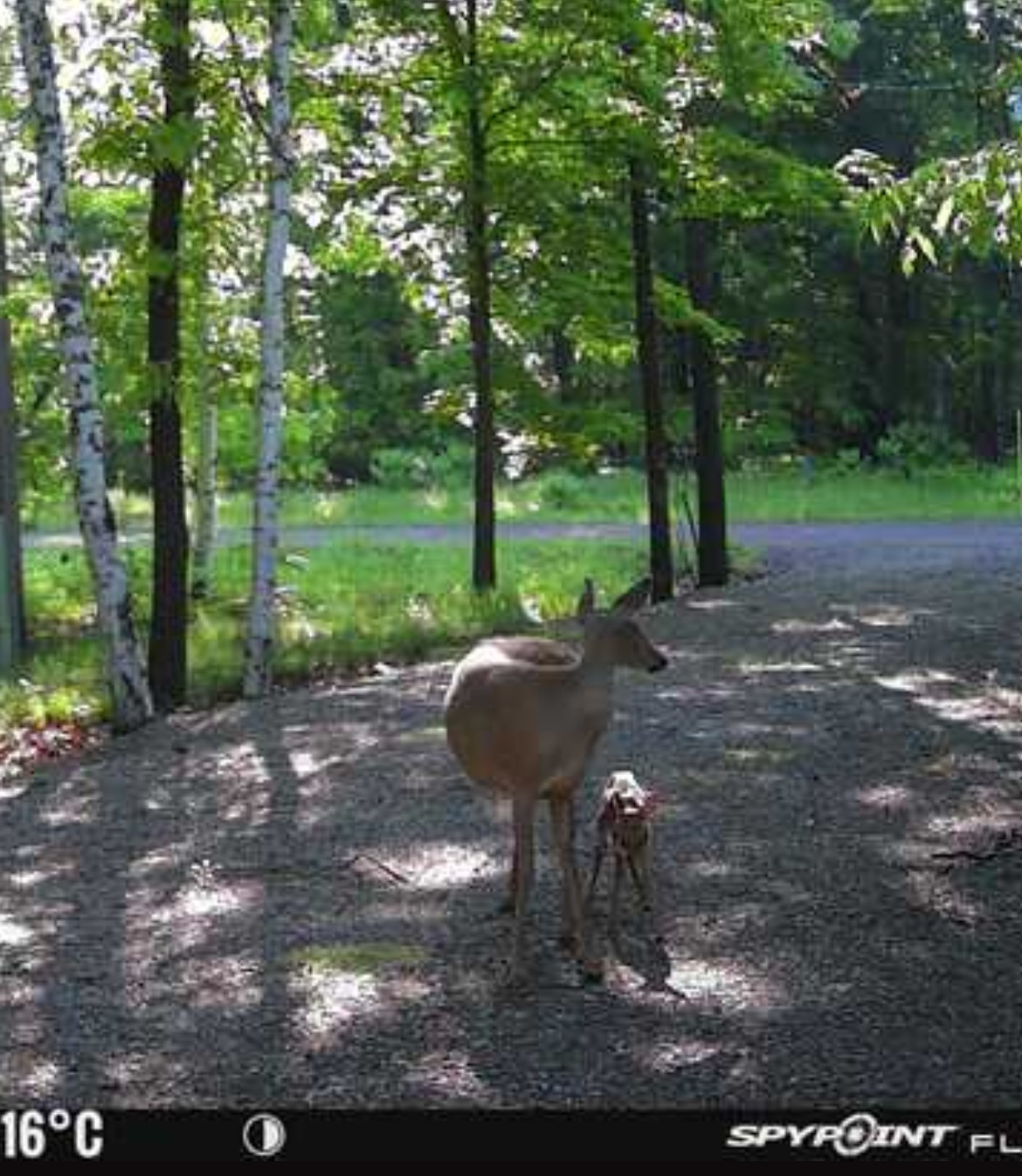 Property Photo #17