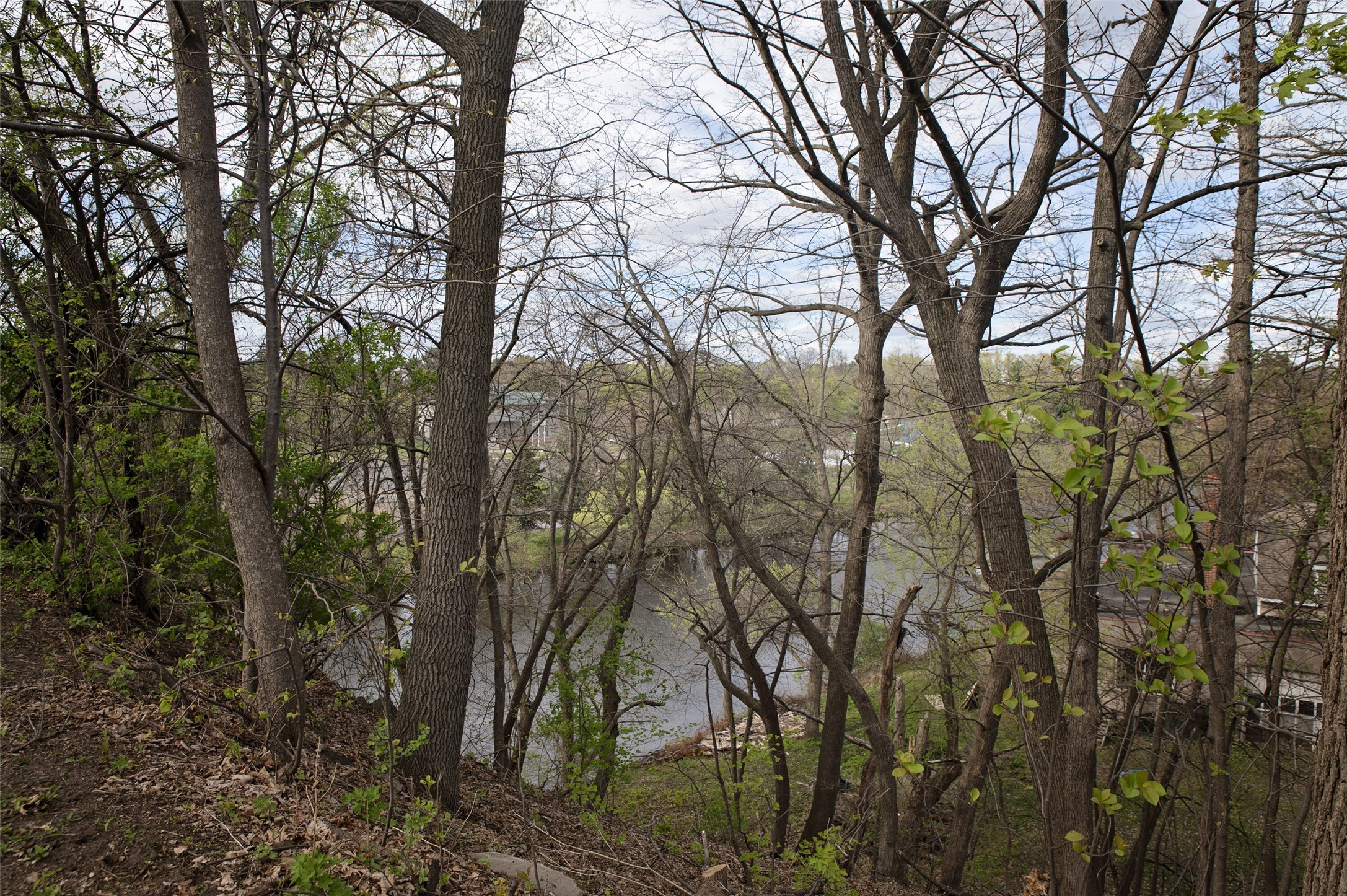 Property Photo #10