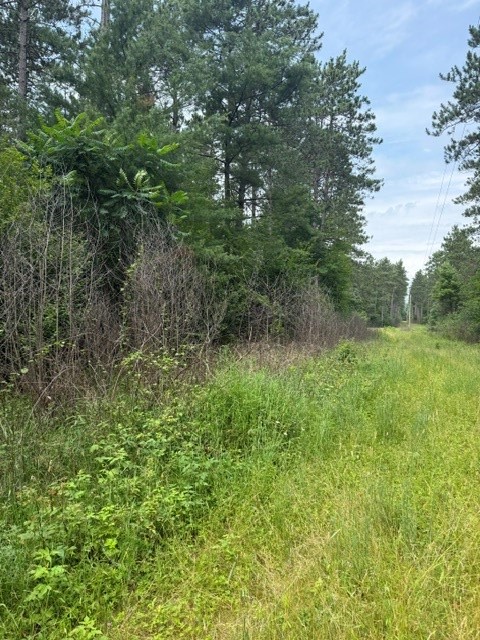 Black River Falls Land Real Estate