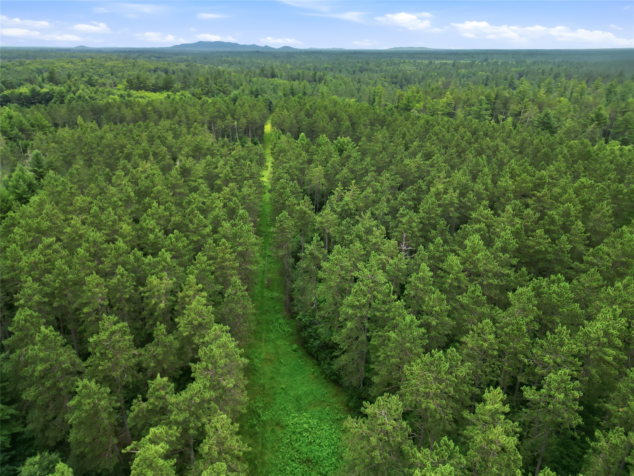 Thumbnail 19