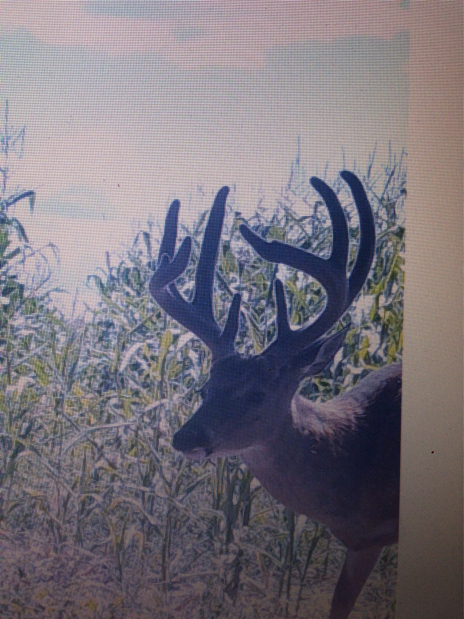Thumbnail 16