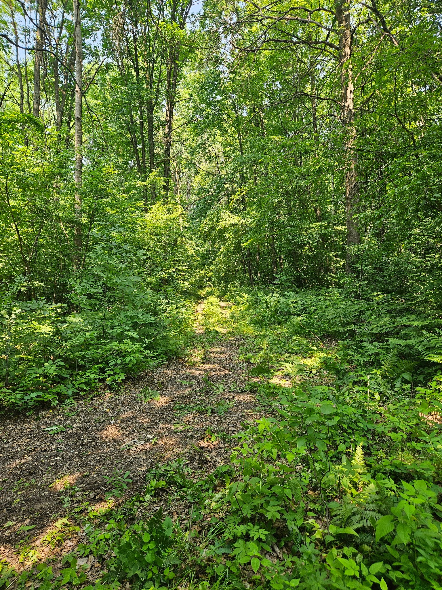 Property Photo #1