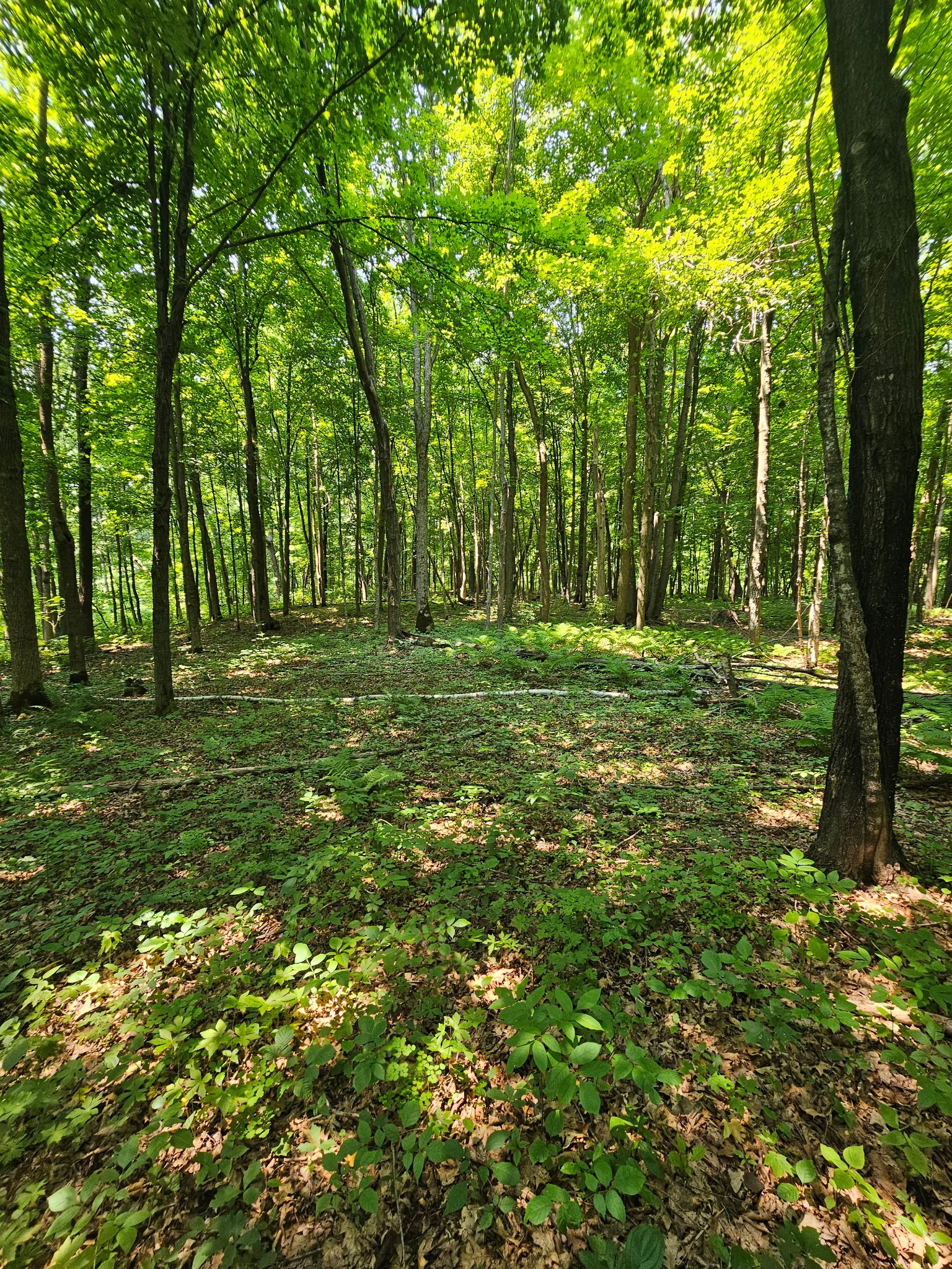 Property Photo #10