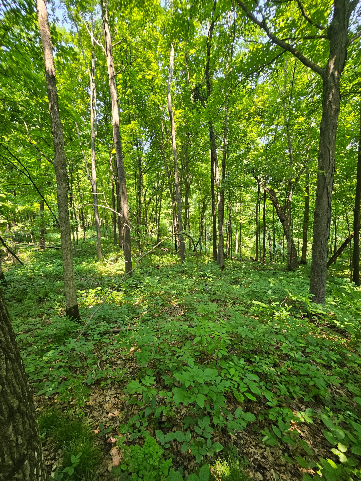 Property Photo #11