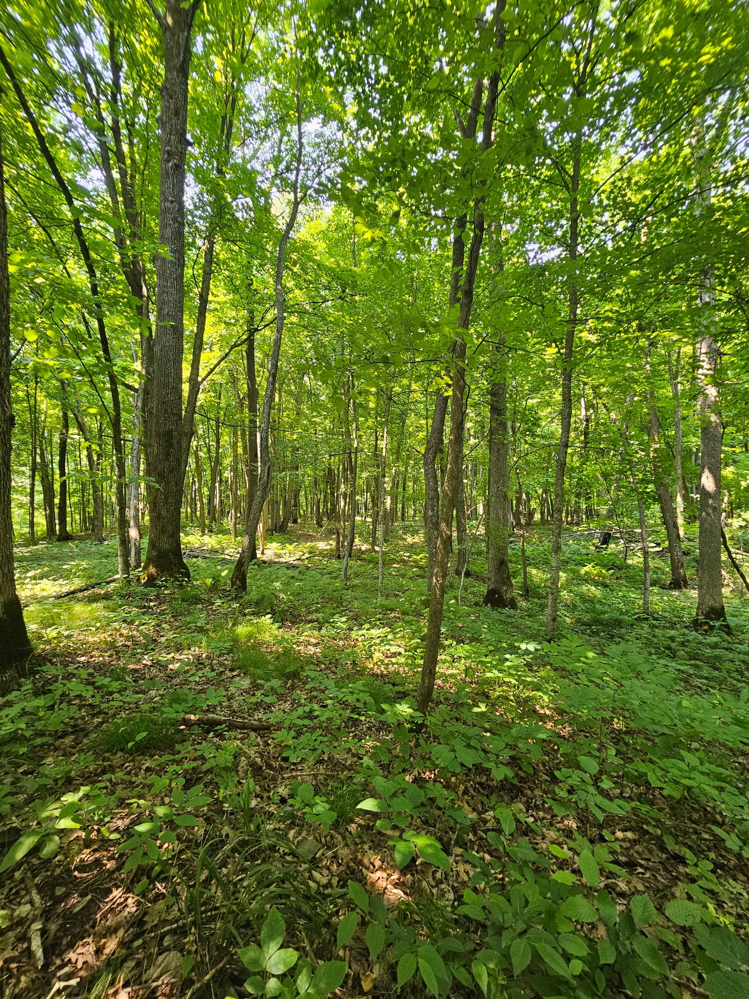 Property Photo #12