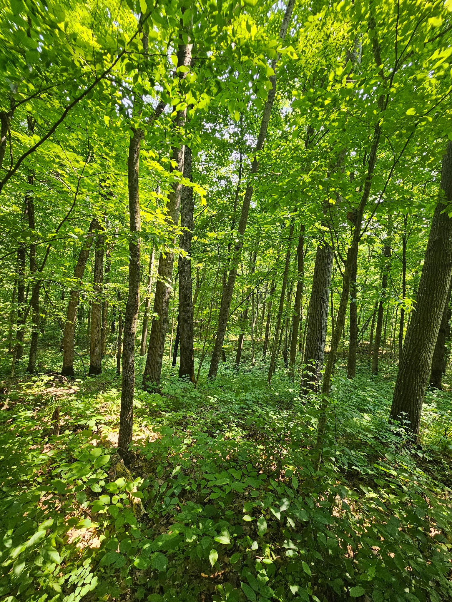 Property Photo #13