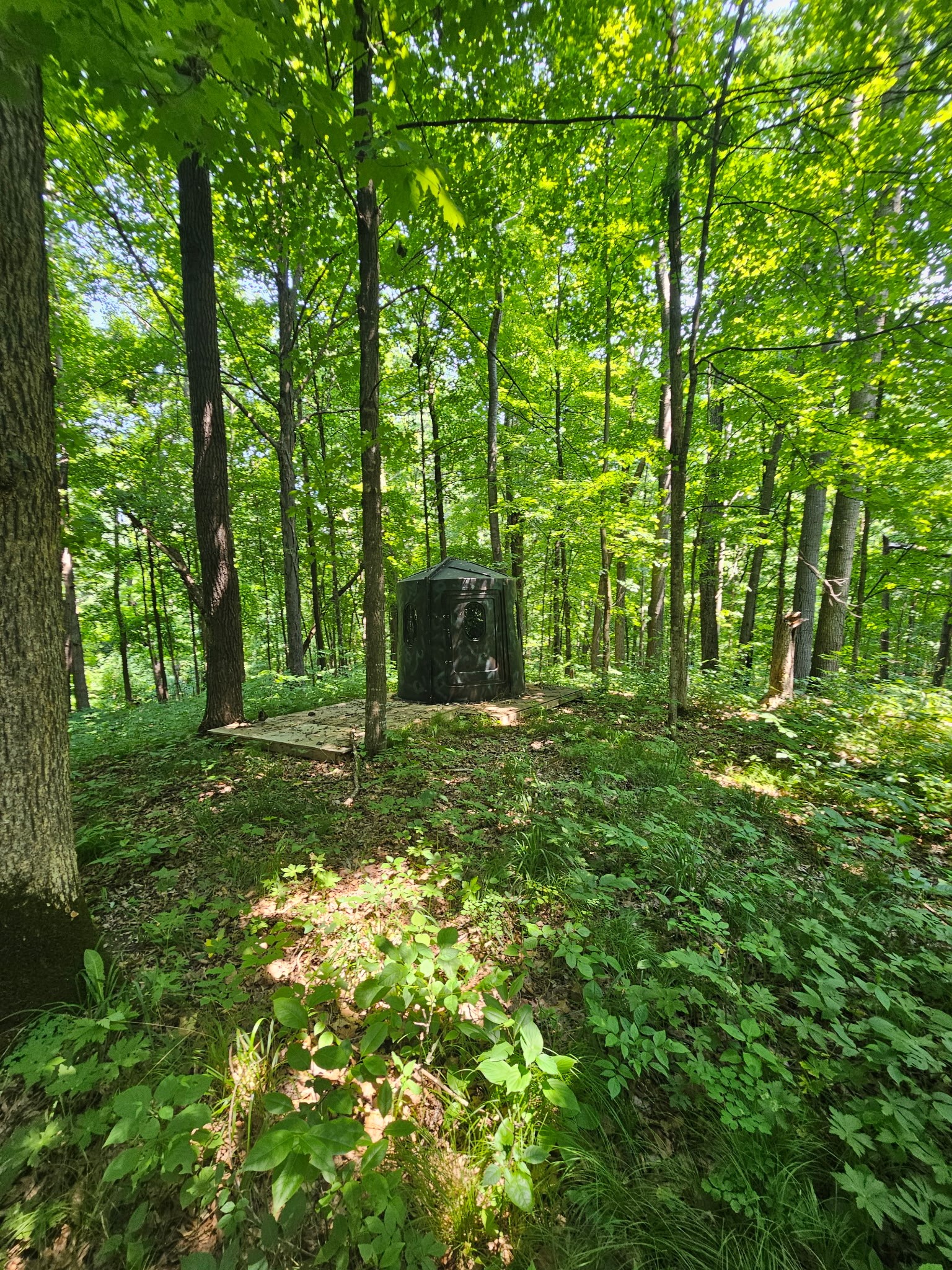 Property Photo #14