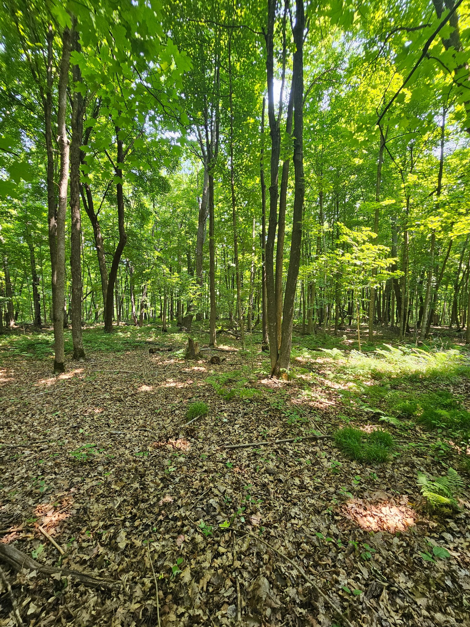 Property Photo #15
