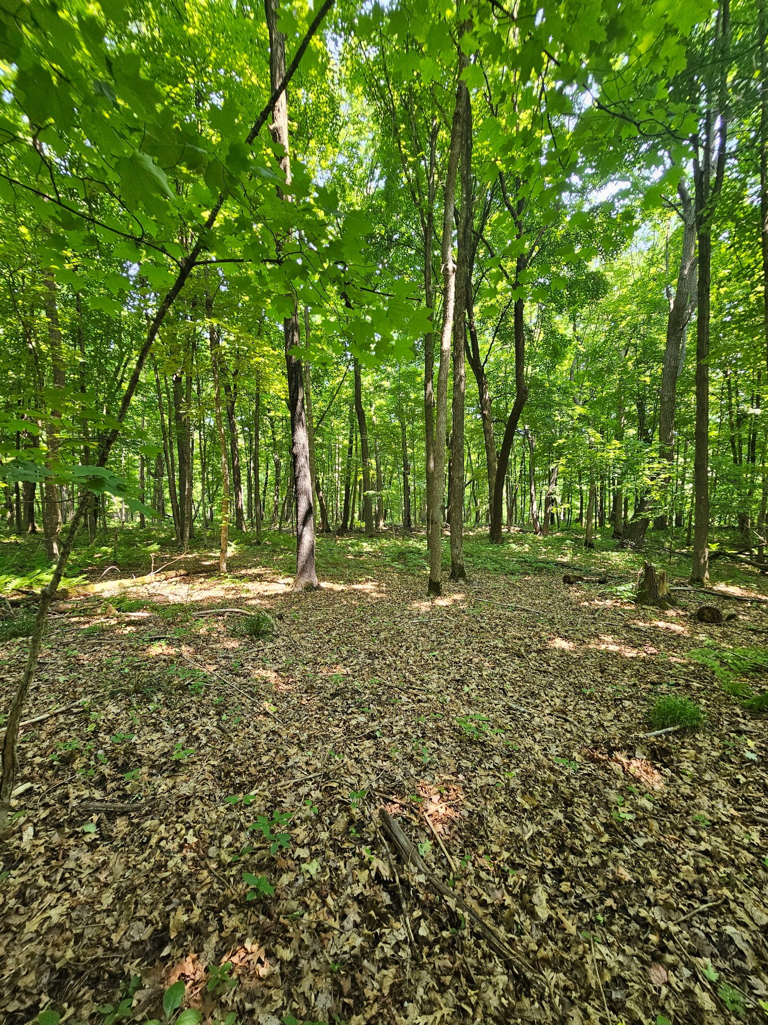 Property Photo #16