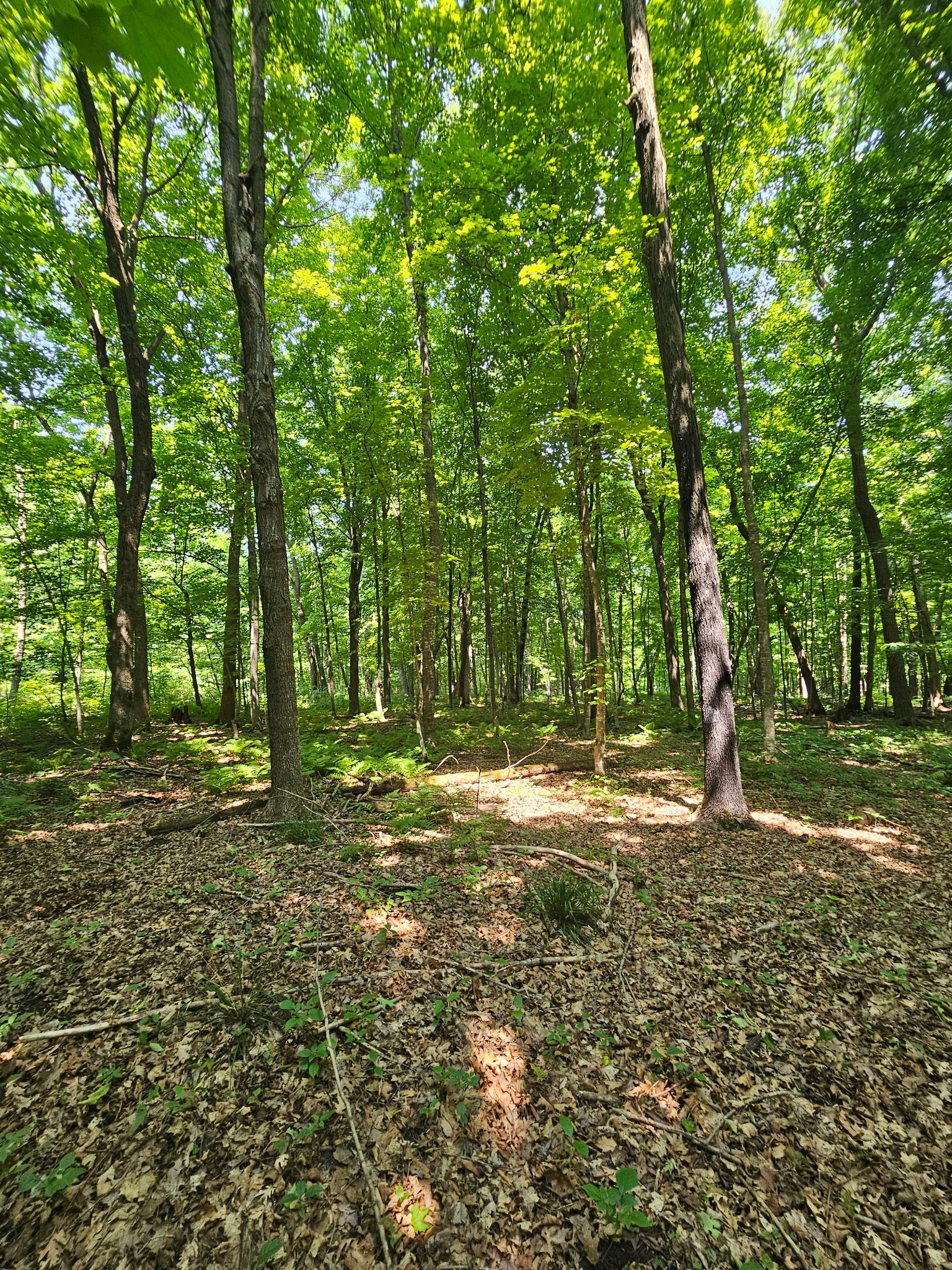 Property Photo #17