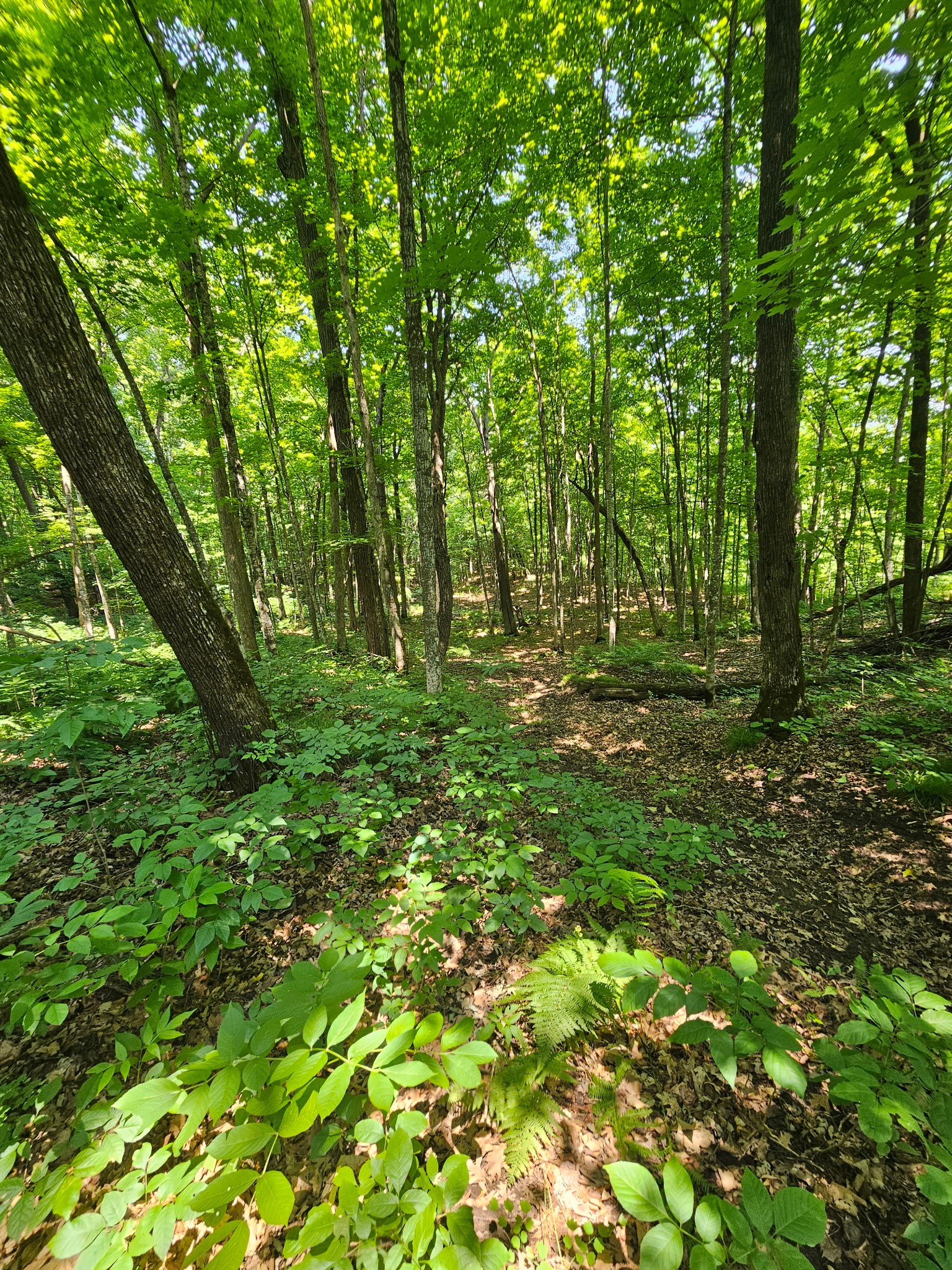 Property Photo #18