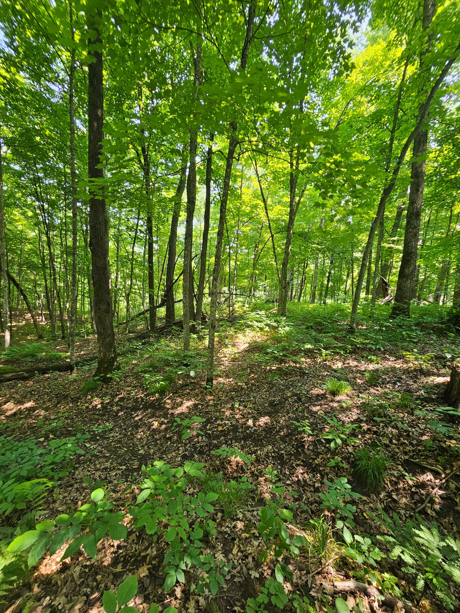 Property Photo #19