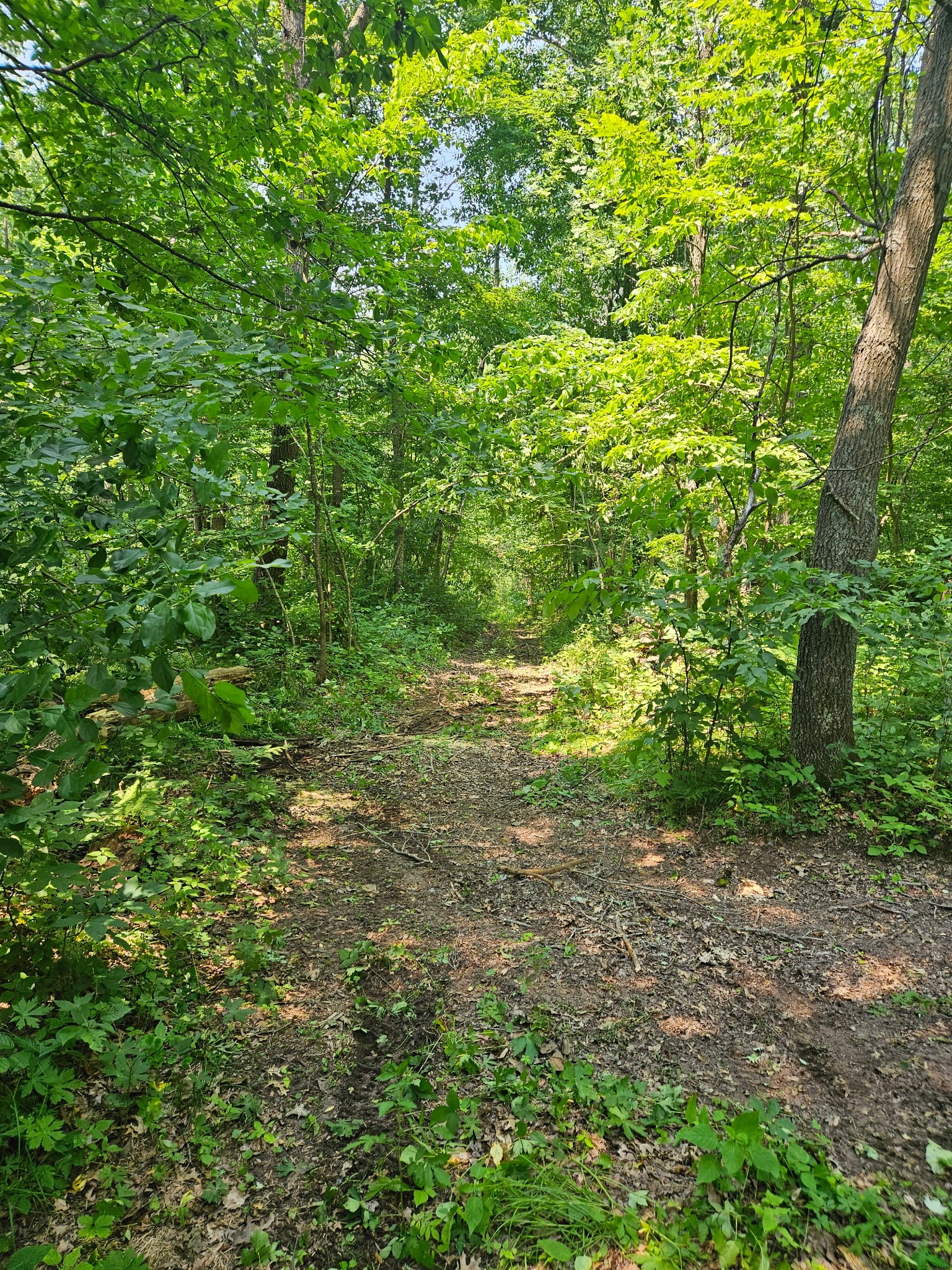 Property Photo #2