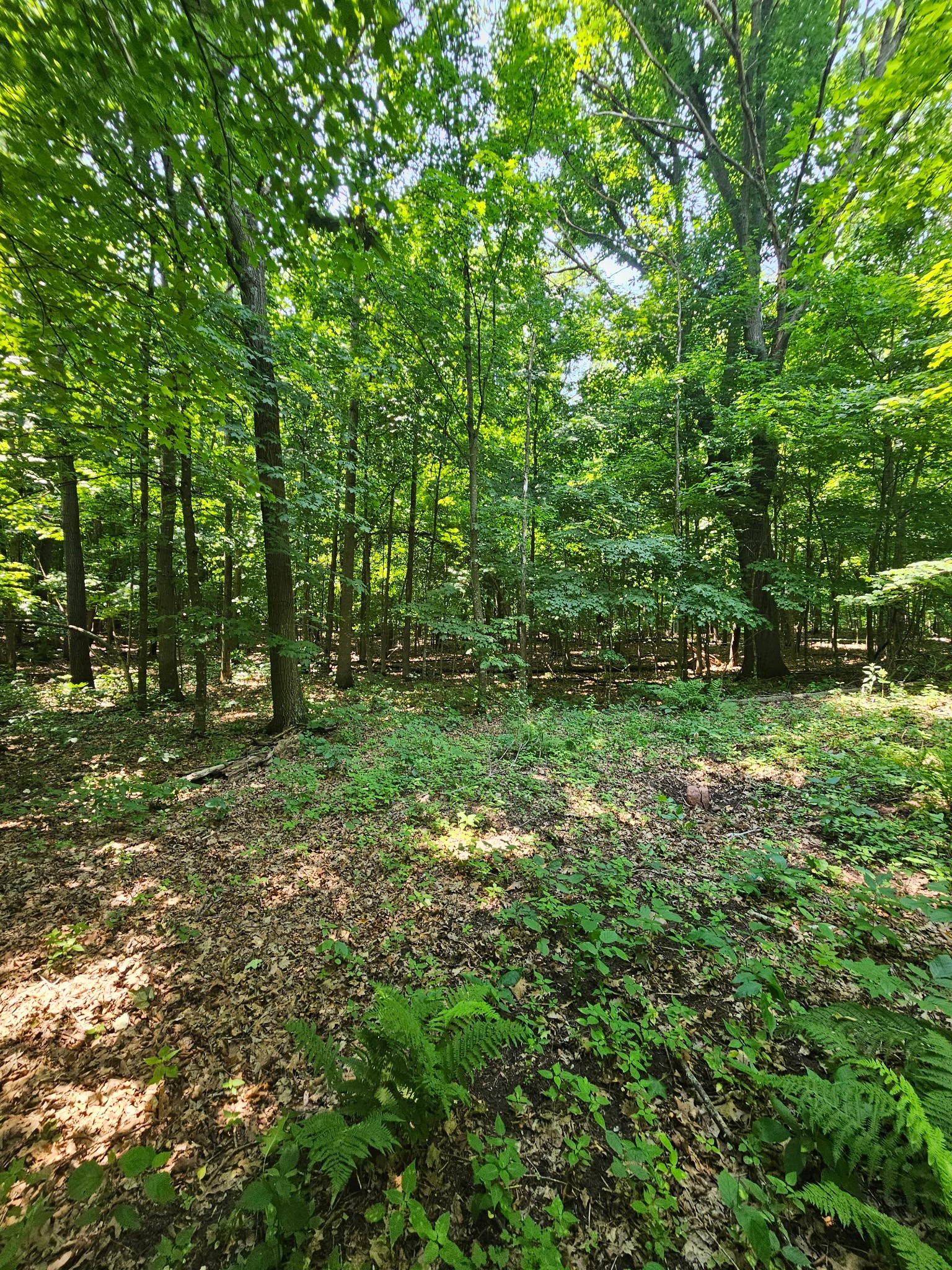 Property Photo #21