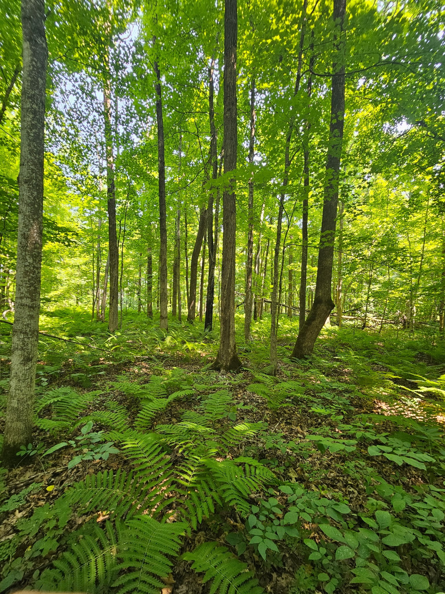 Property Photo #23