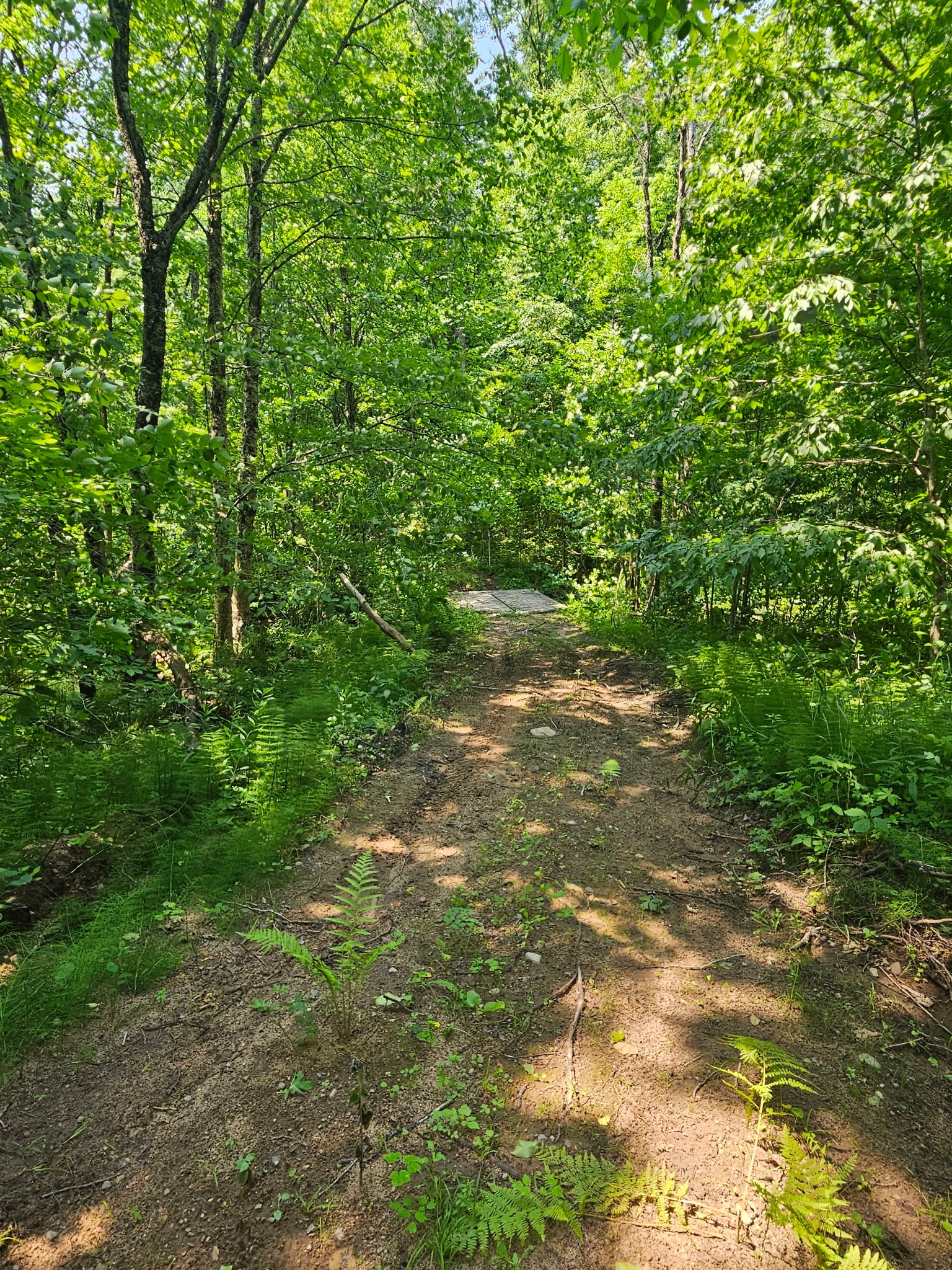Property Photo #4