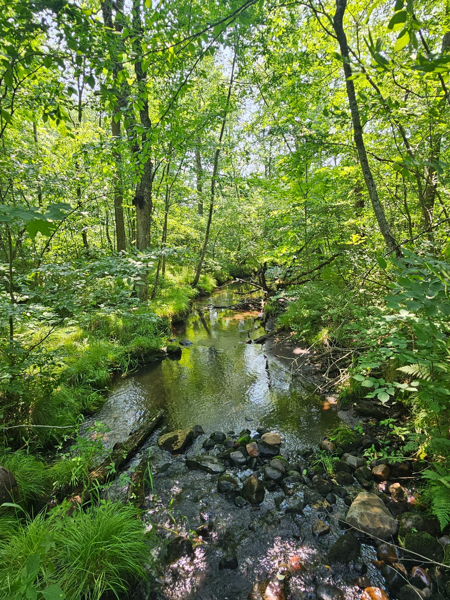Property Photo #5