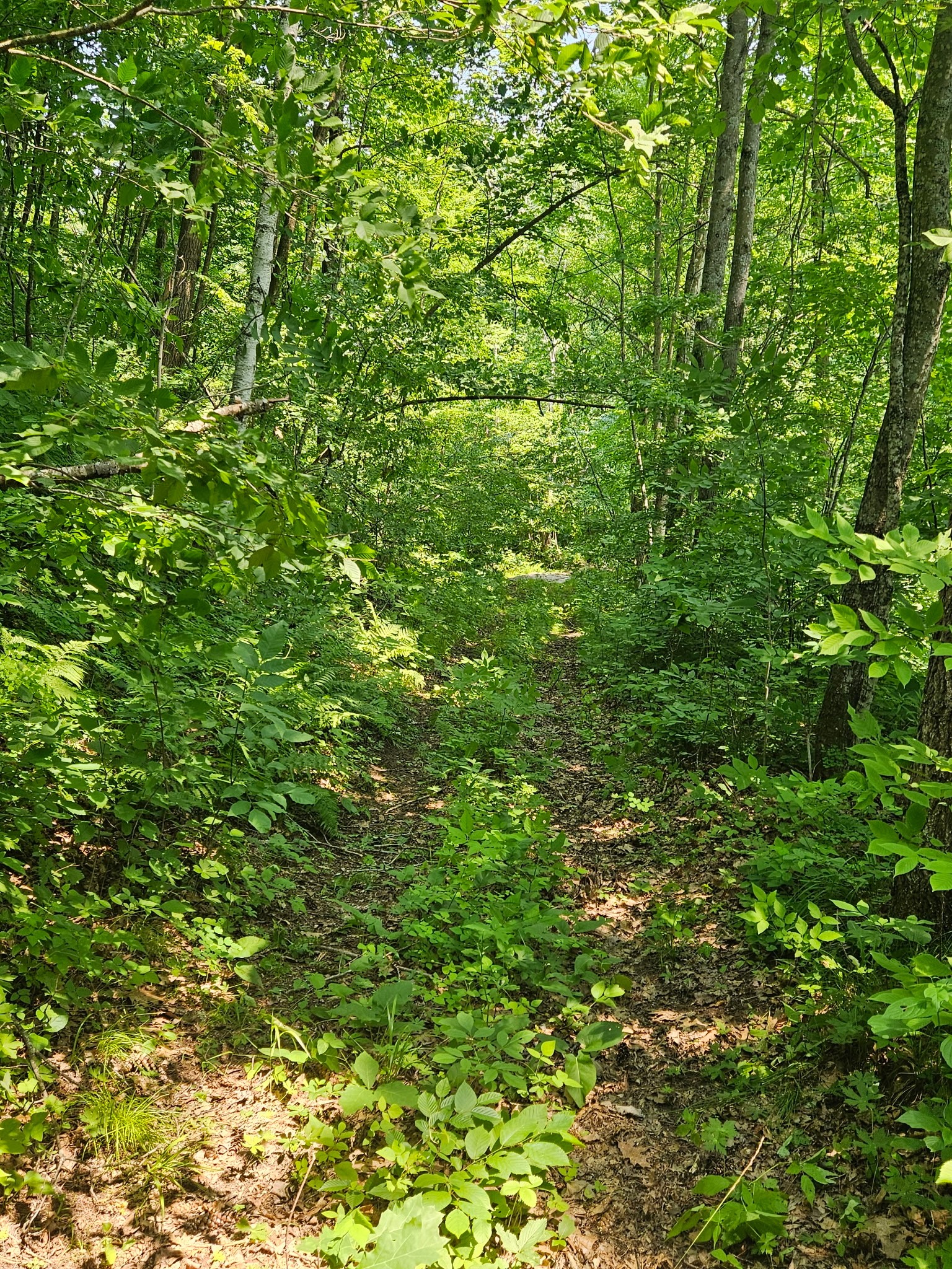Property Photo #6