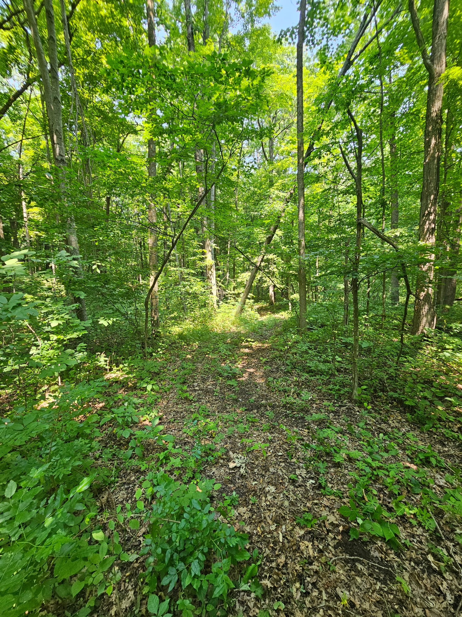 Property Photo #7