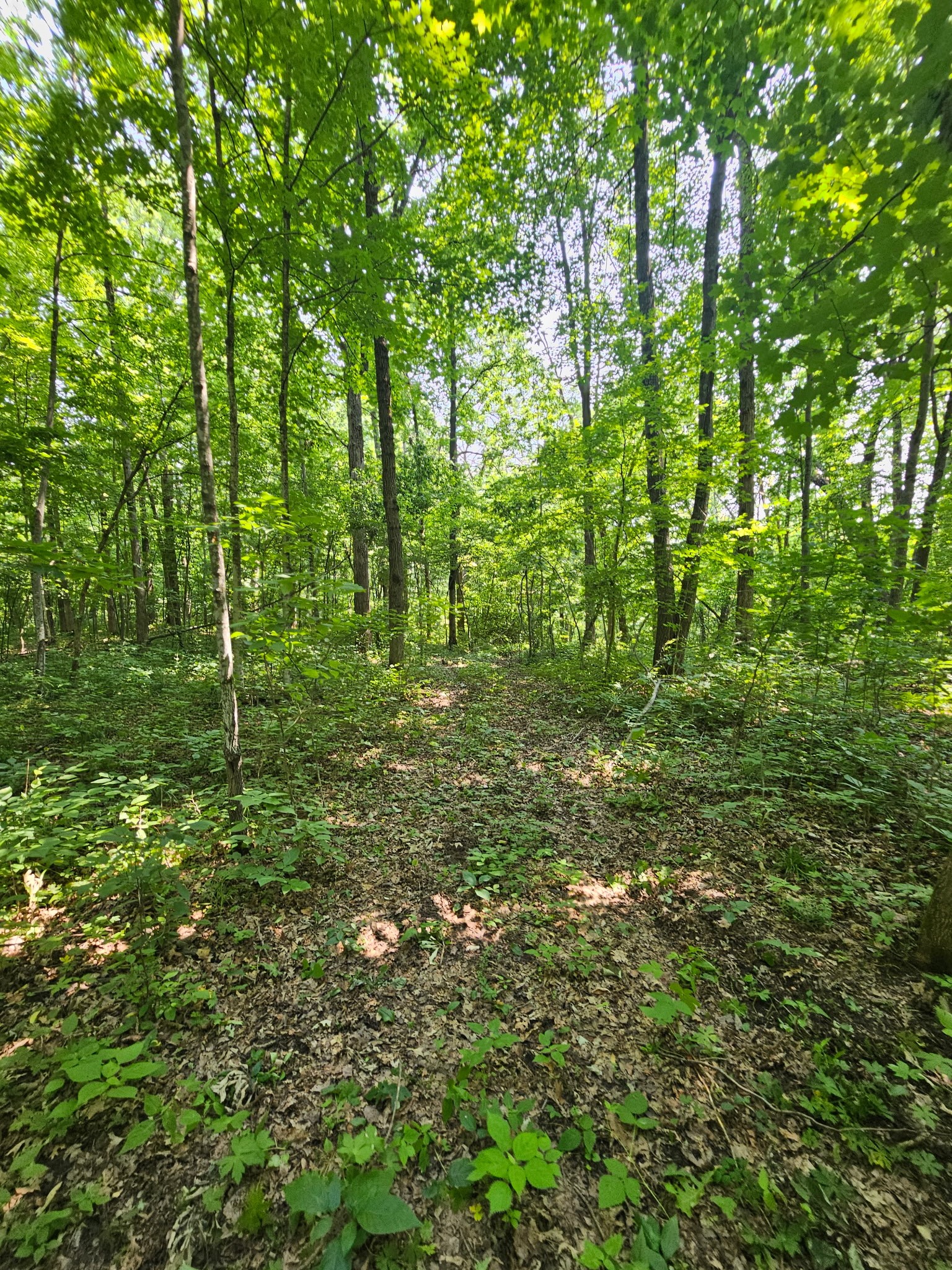 Property Photo #8