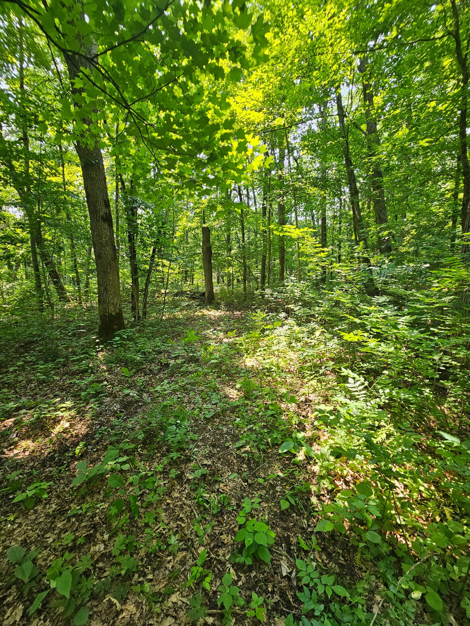 Property Photo #9