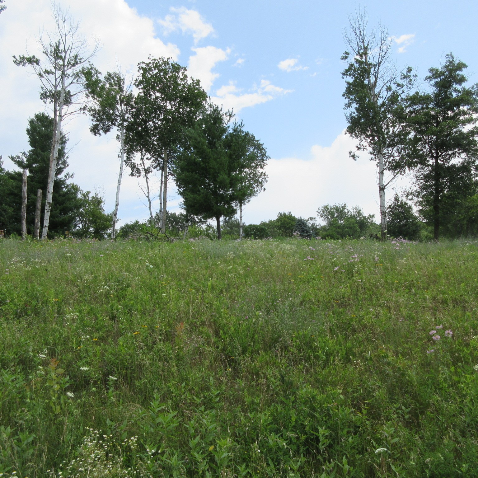 Menomonie Land Real Estate