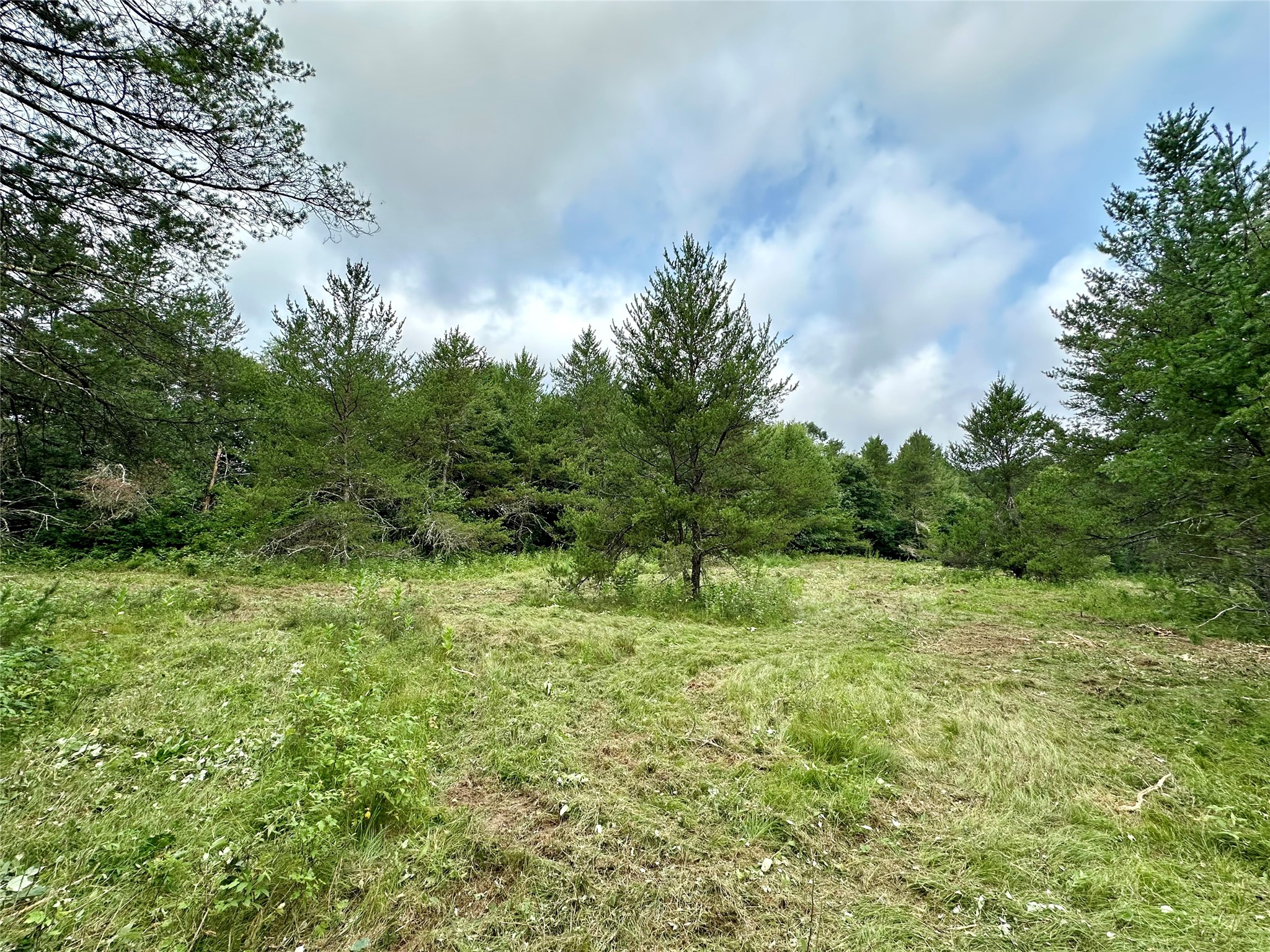 Thumbnail 19