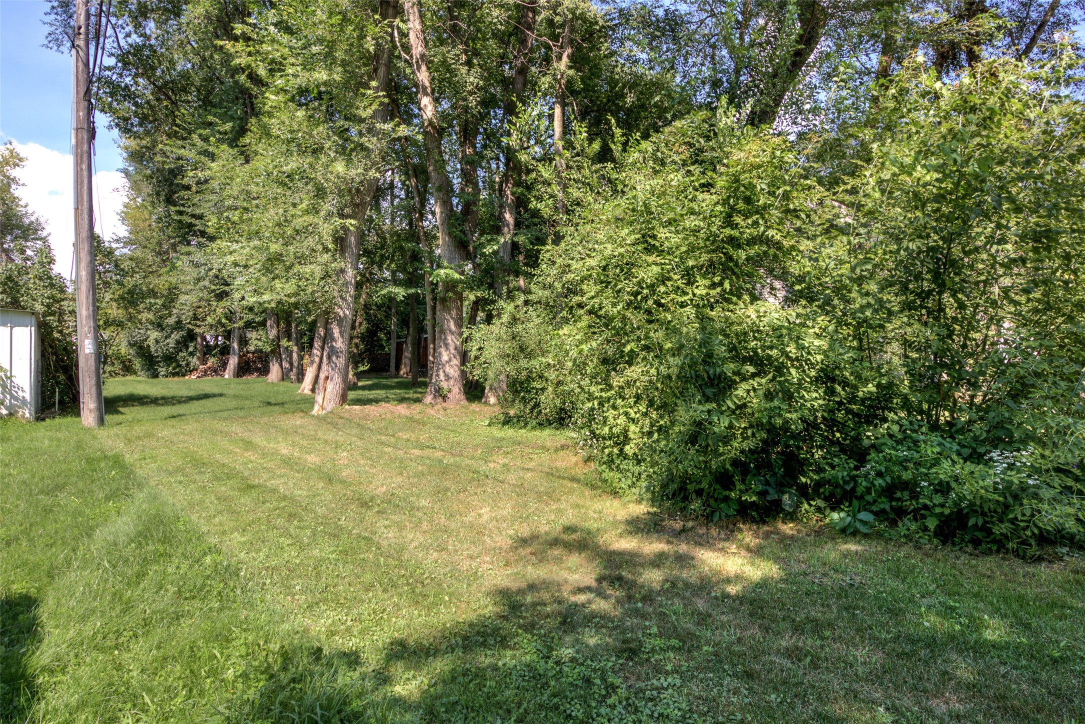 Photo 39