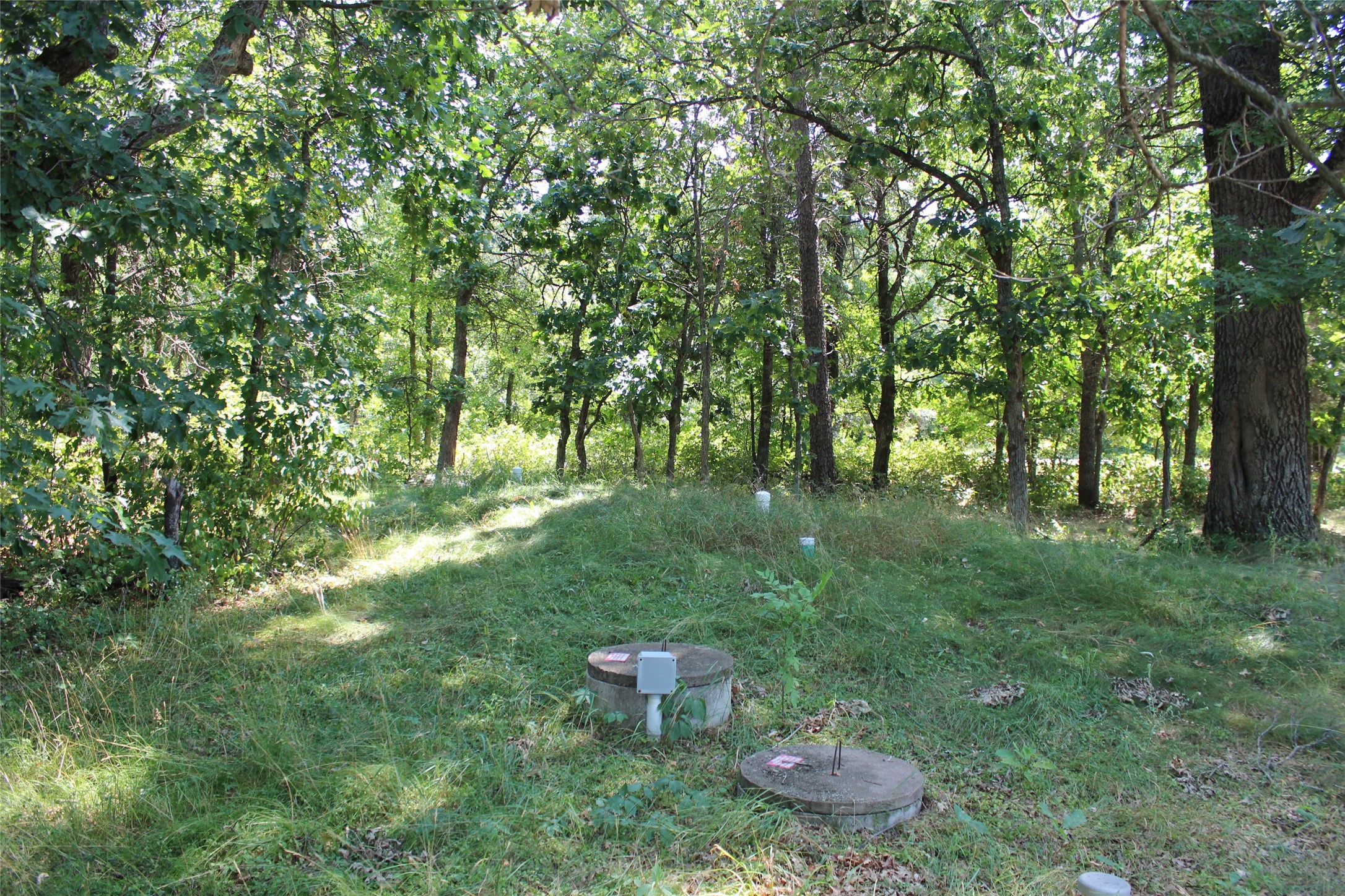 Property Photo #25