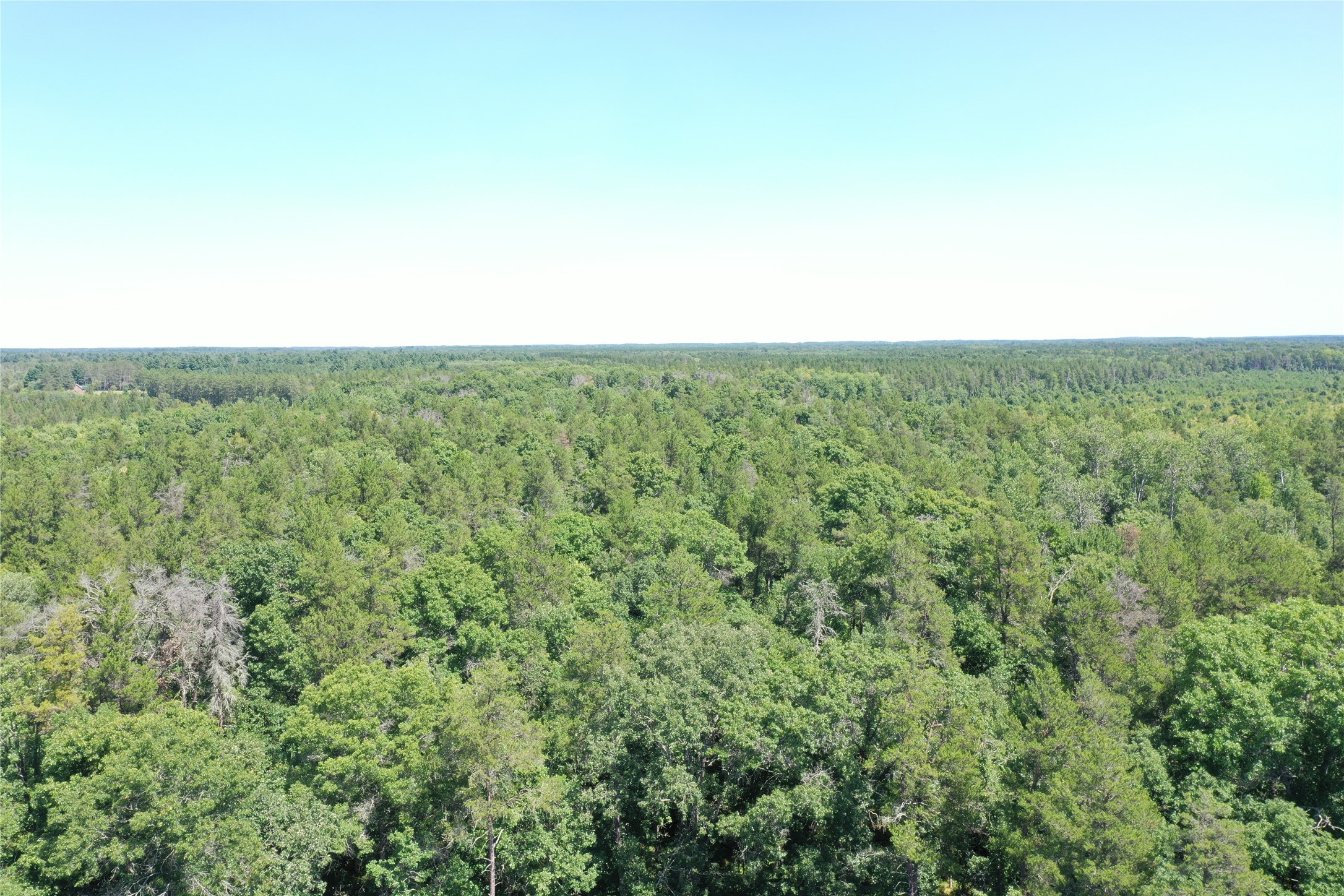 Property Photo #3