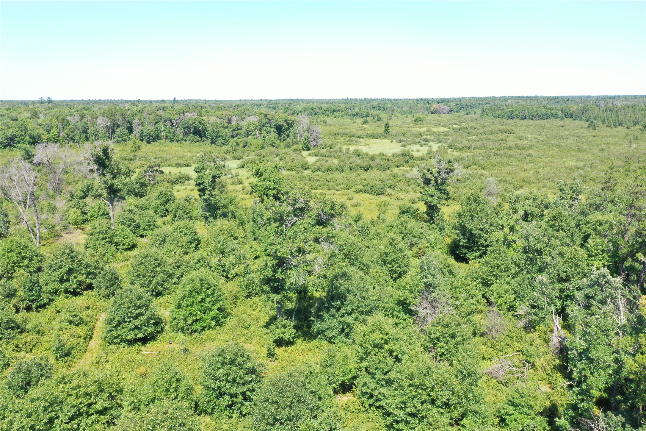 Property Photo #9