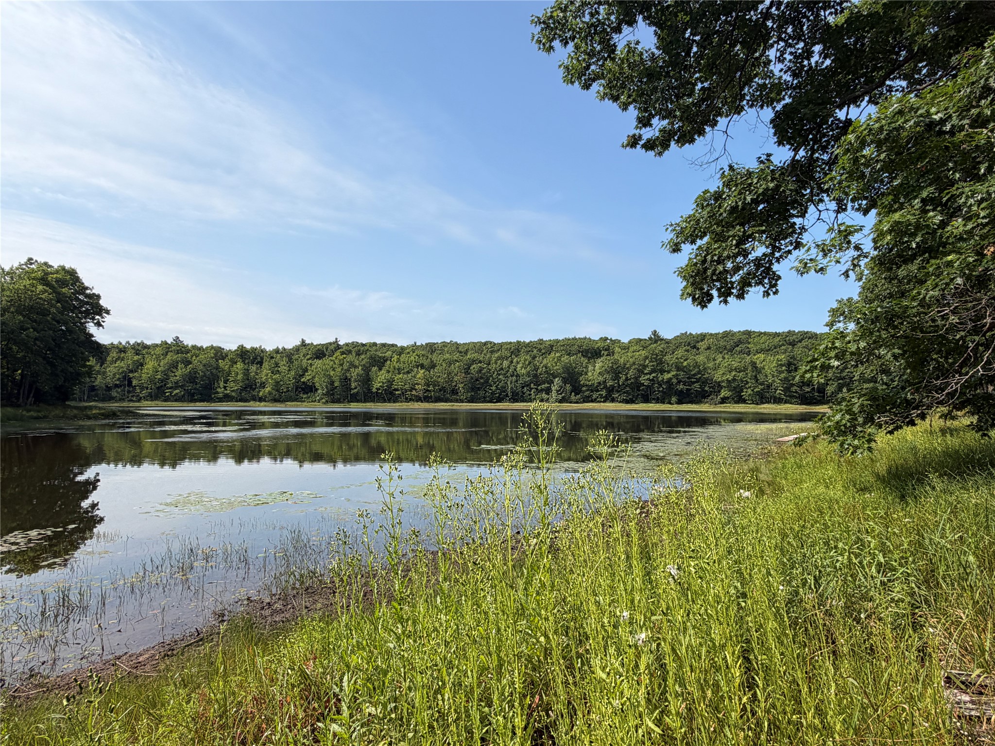 Photo of On Strabel Road, Stone Lake, WI