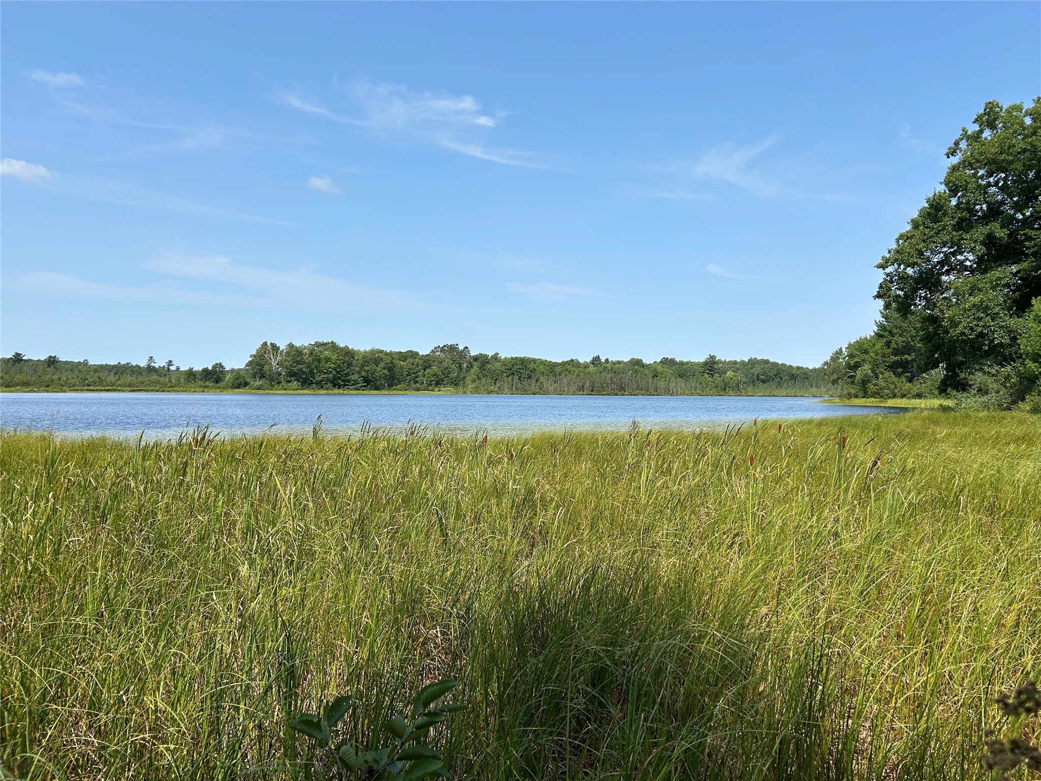 Stone Lake - Land photo 2 of 30