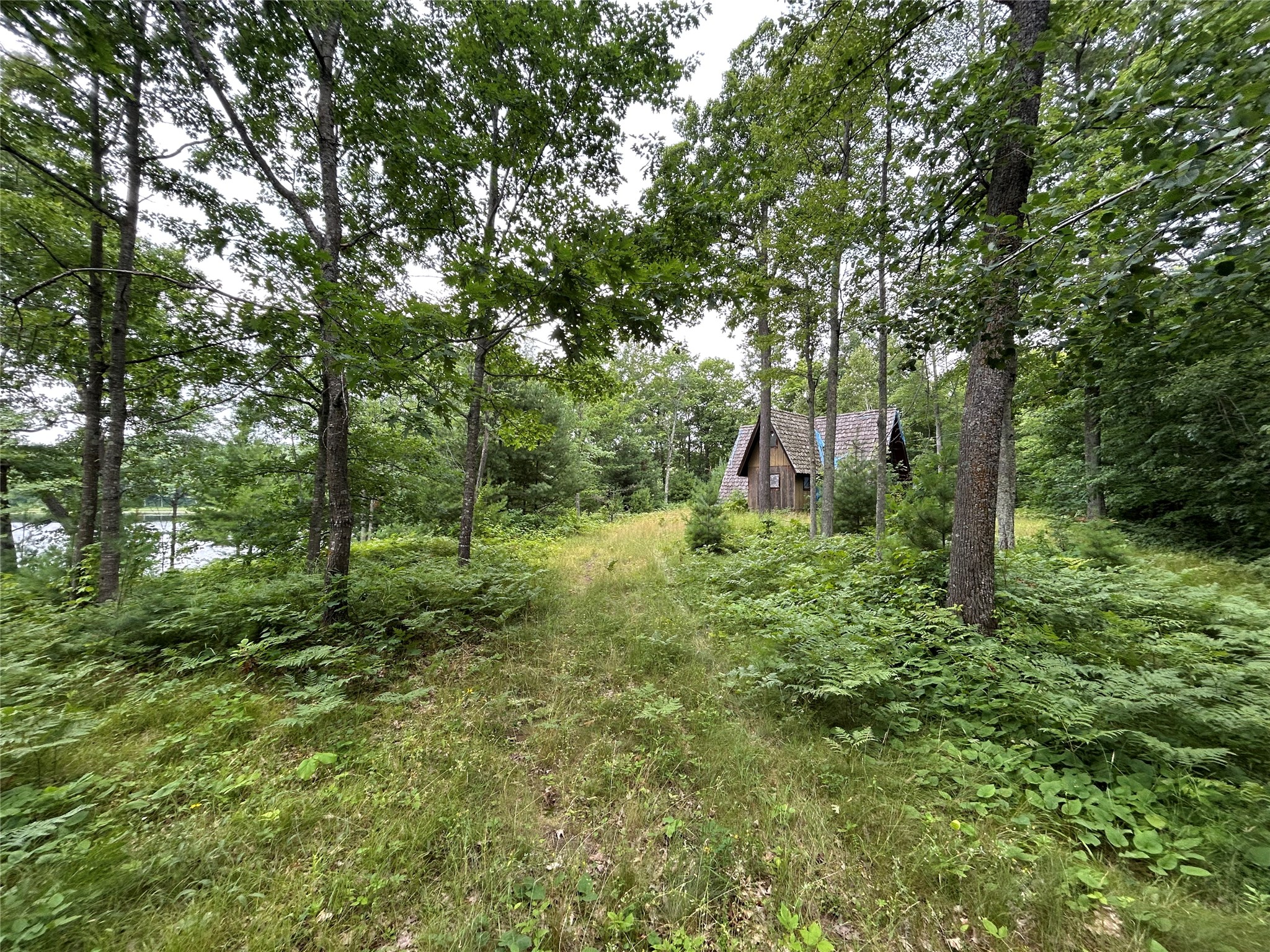 Stone Lake - Land photo 3 of 30