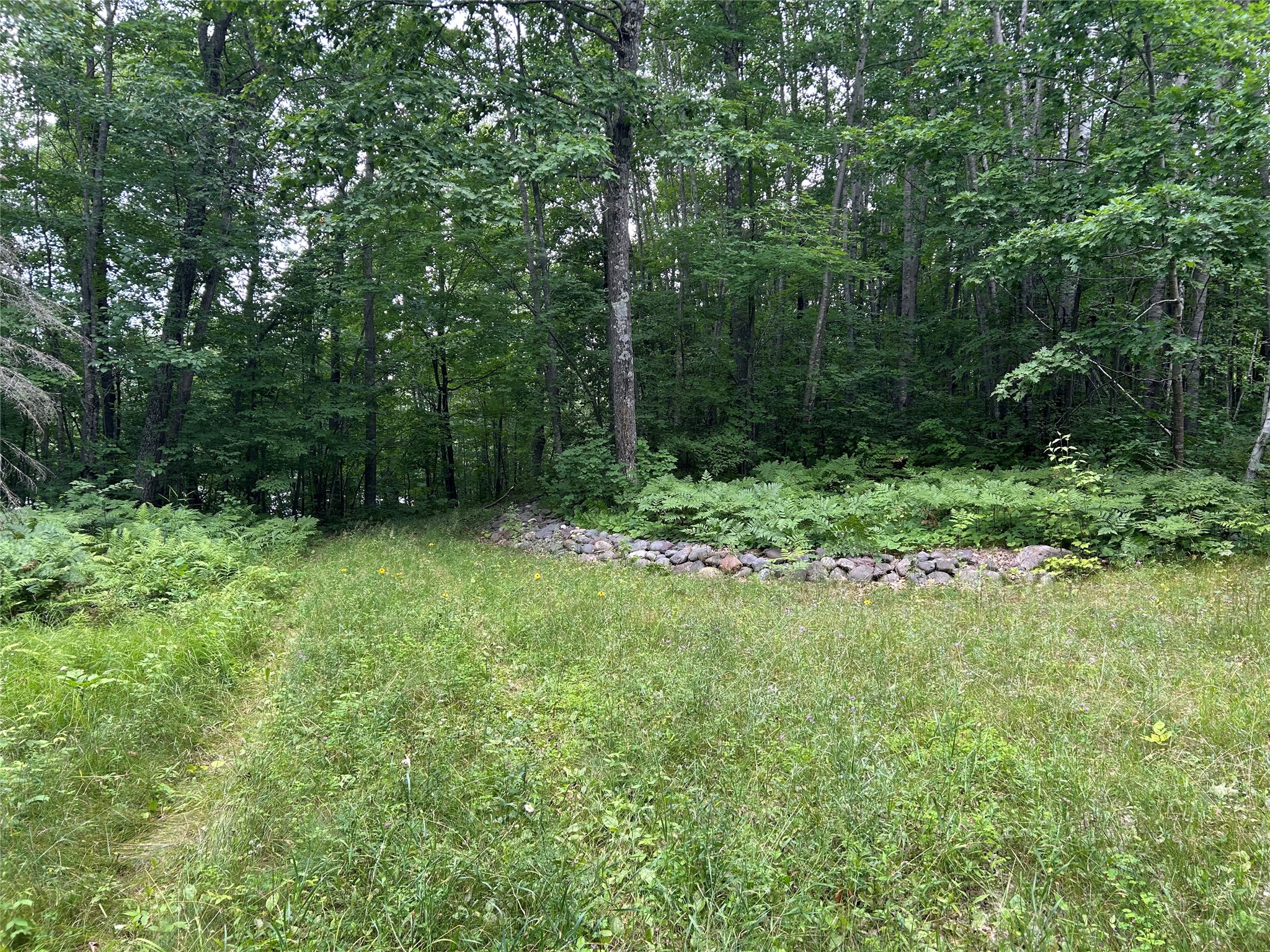 Stone Lake - Land photo 6 of 30