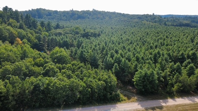 Alma Center - Land photo 2 of 21