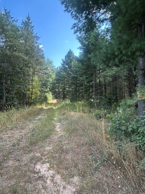 Alma Center - Land photo 6 of 21