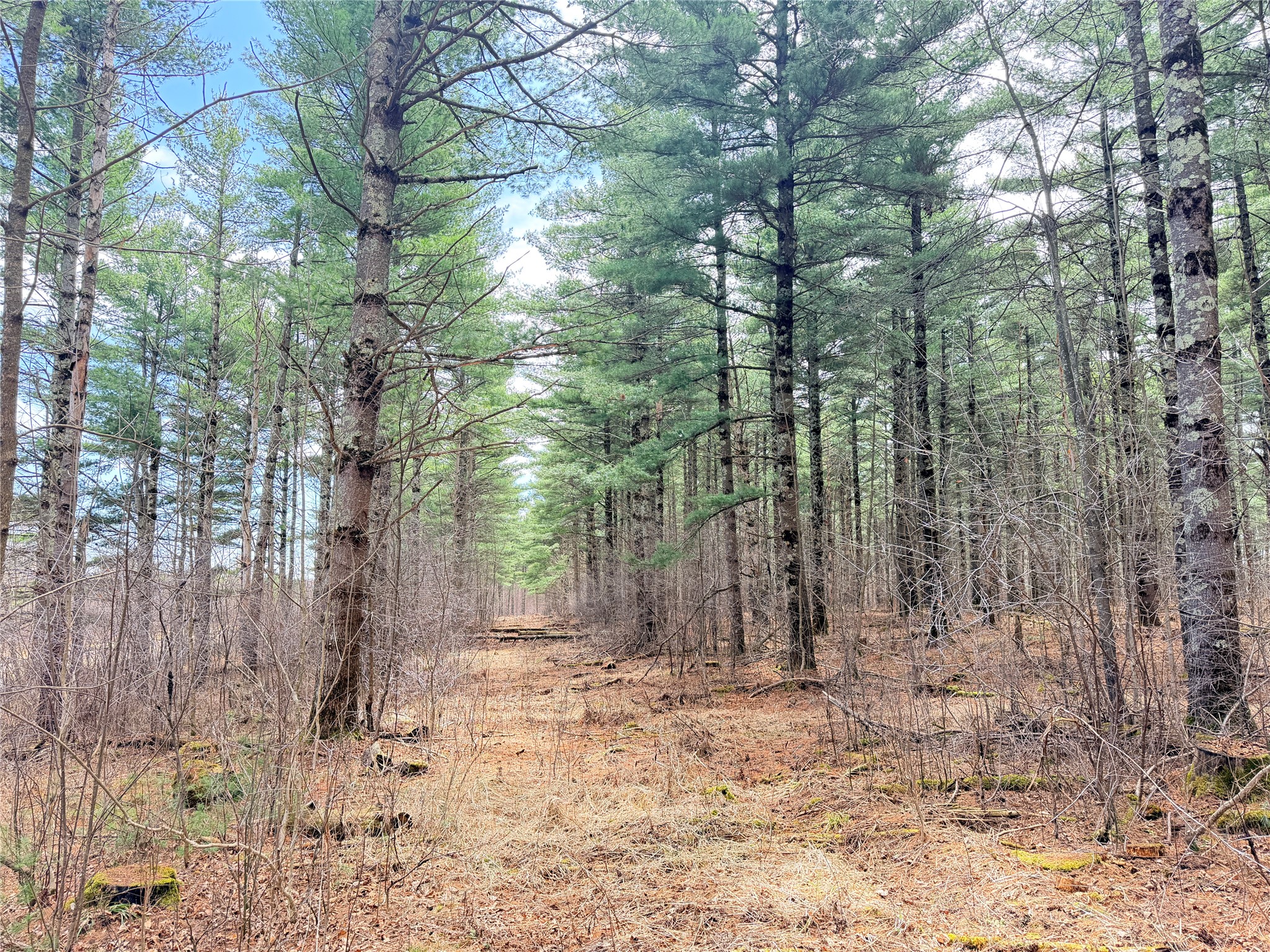 Rice Lake Land Real Estate