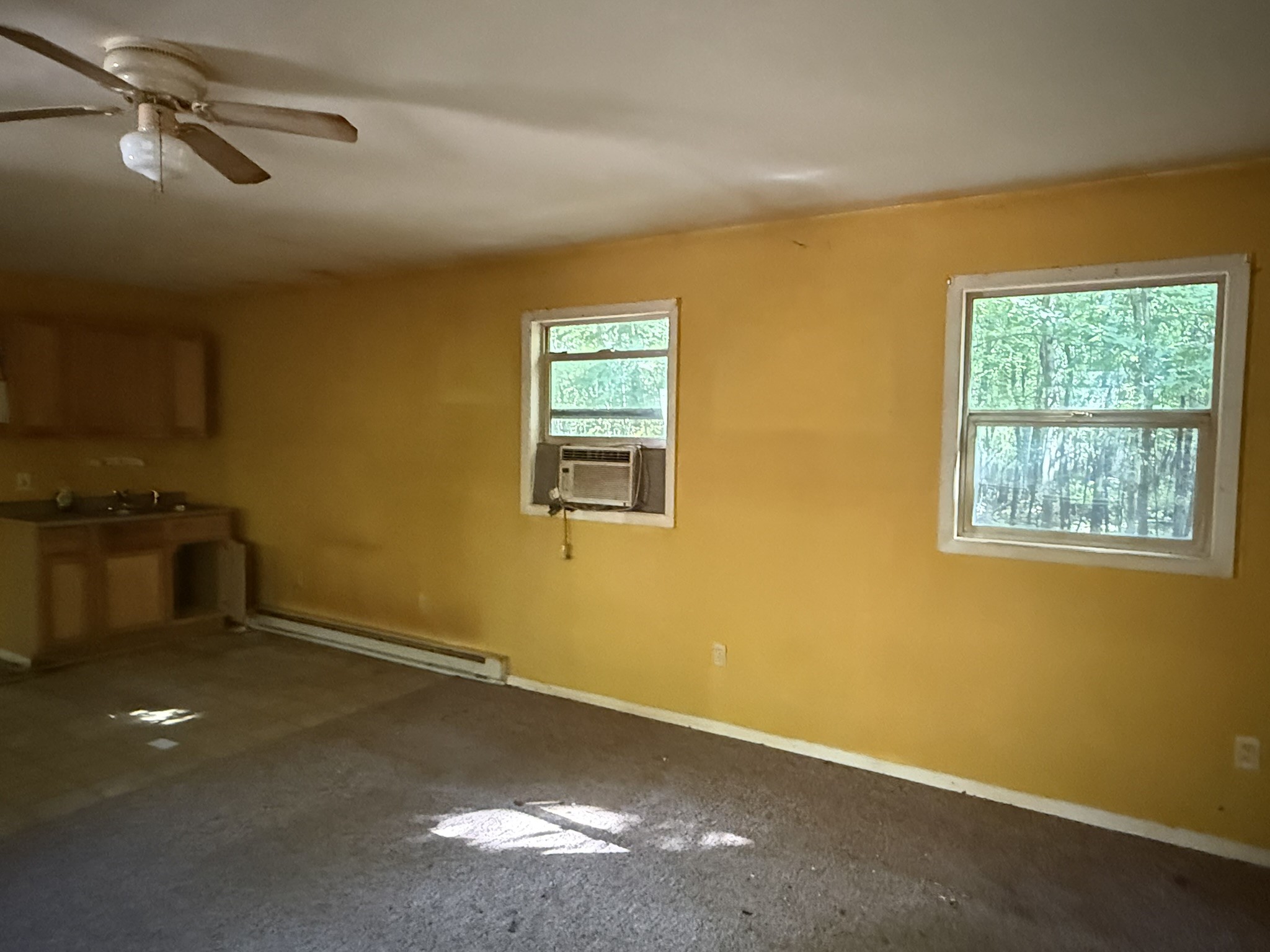 Property Photo #20