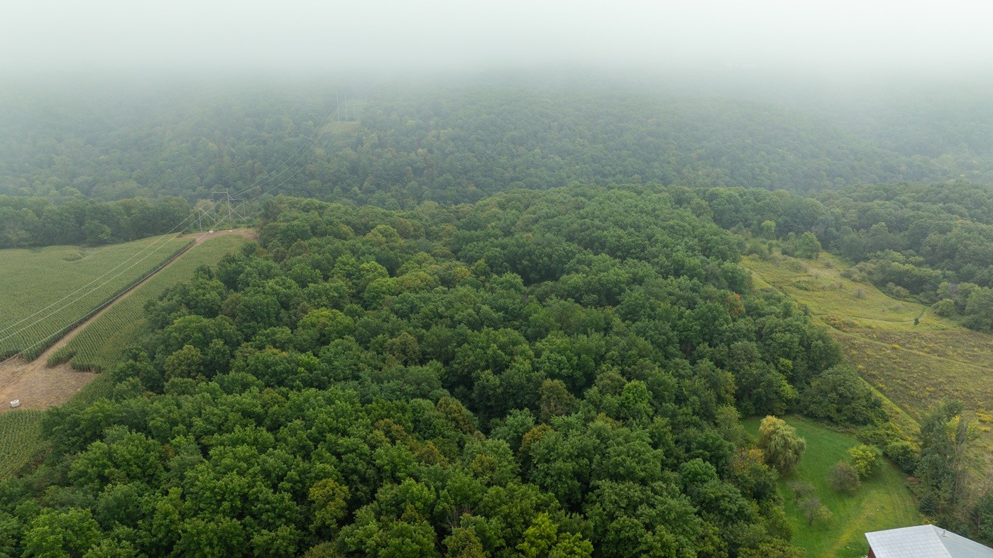 Spring Valley Land Real Estate