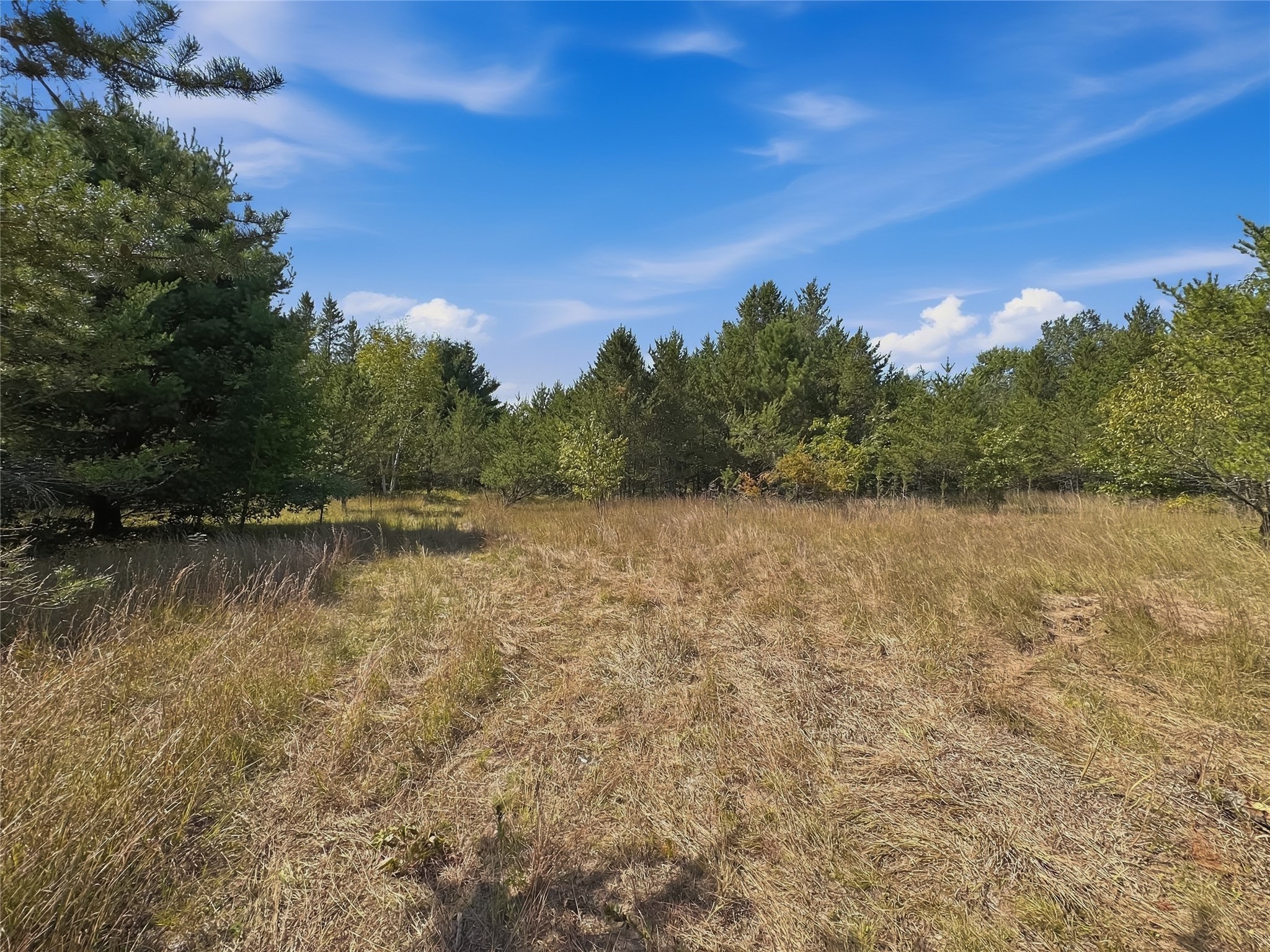 Property Photo #10