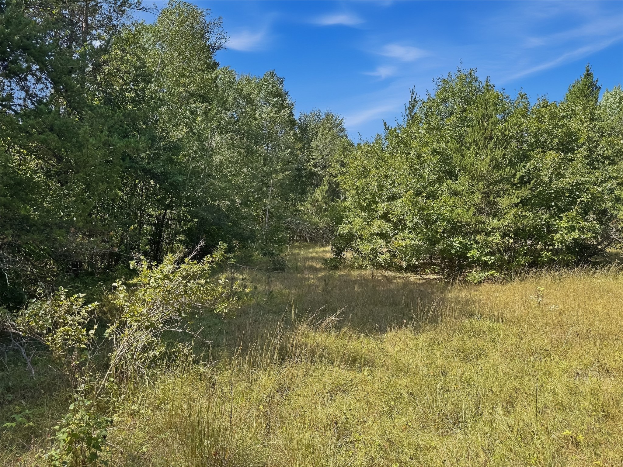 Property Photo #11