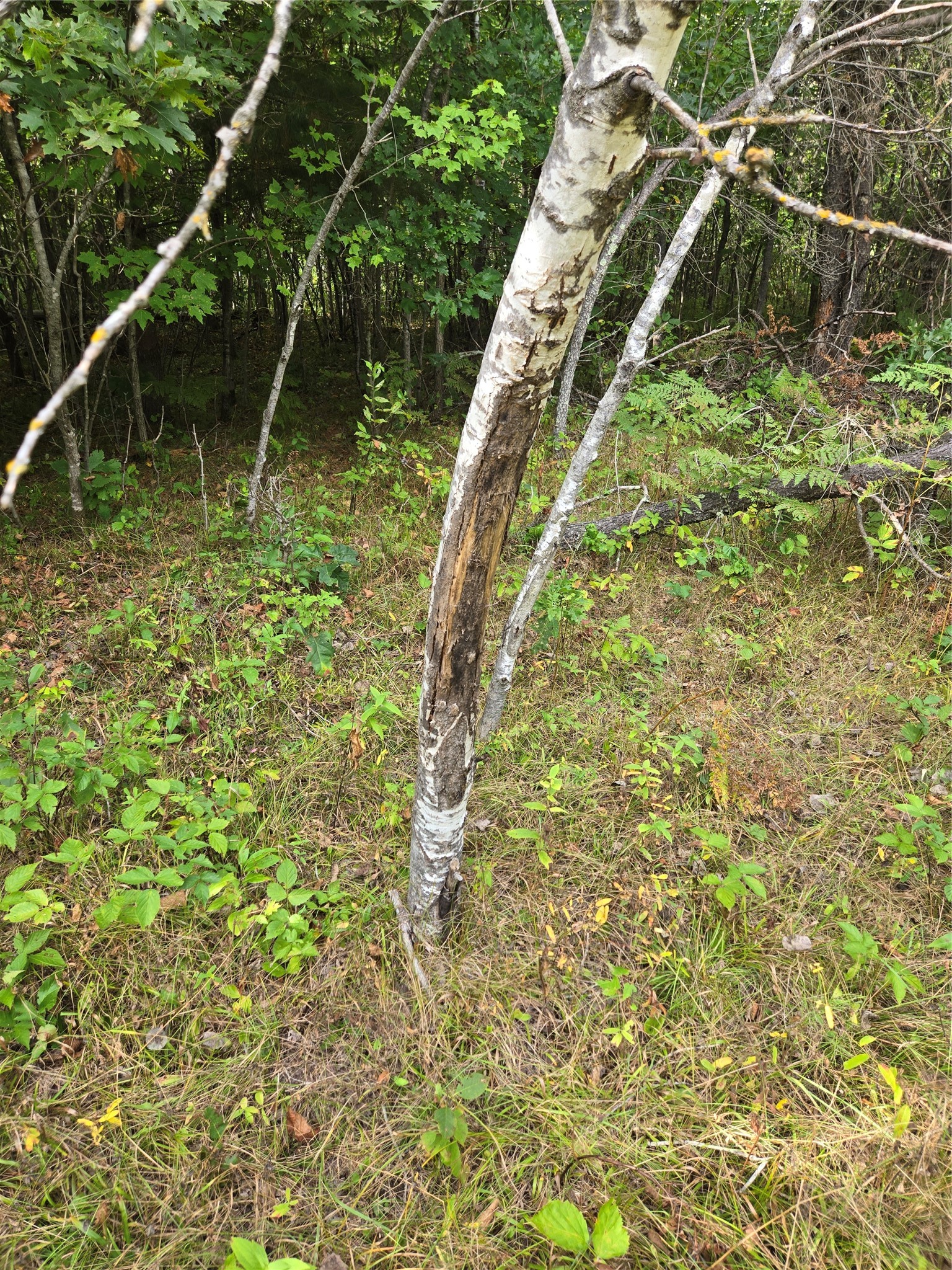 Property Photo #14