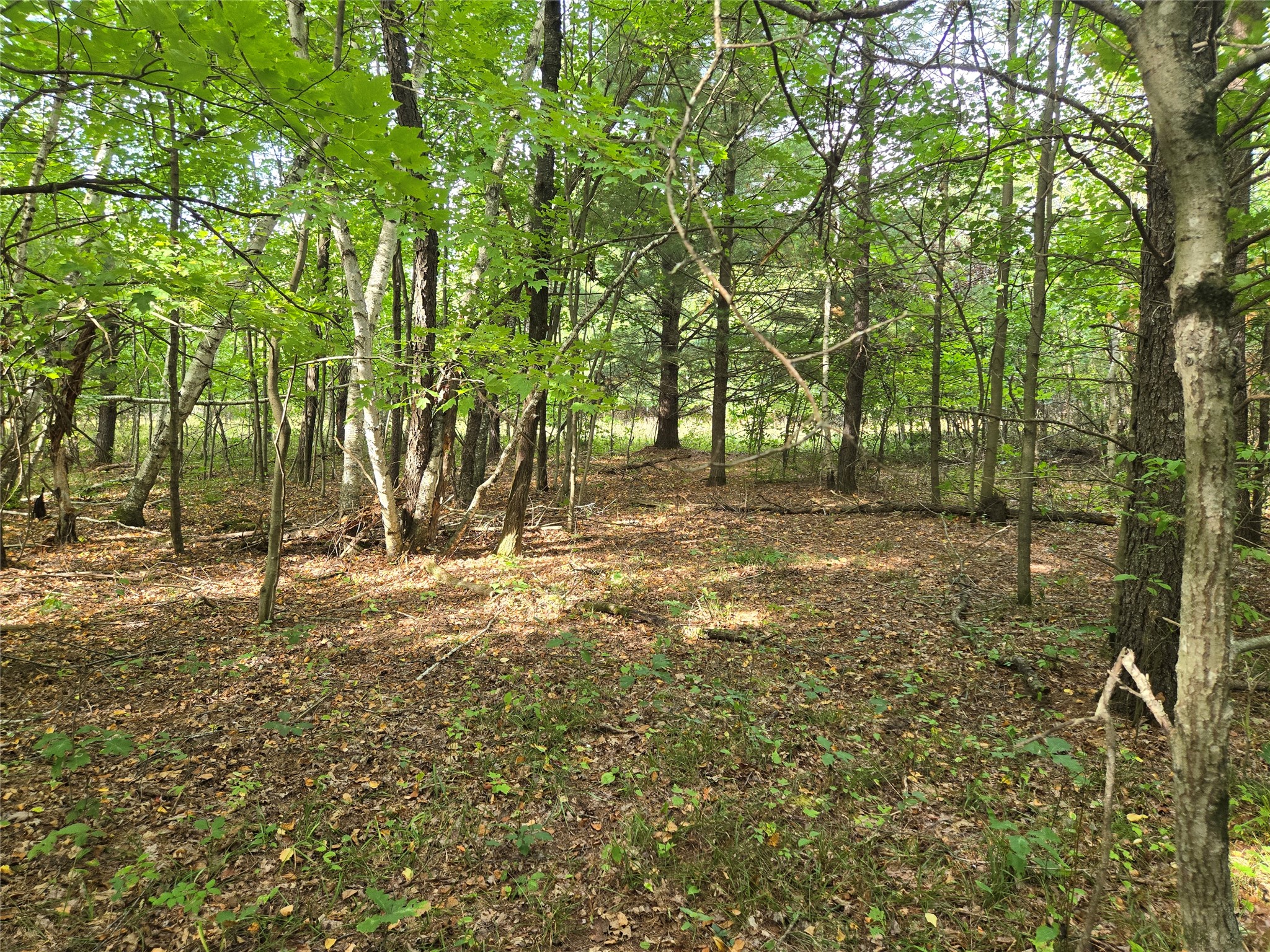 Property Photo #15