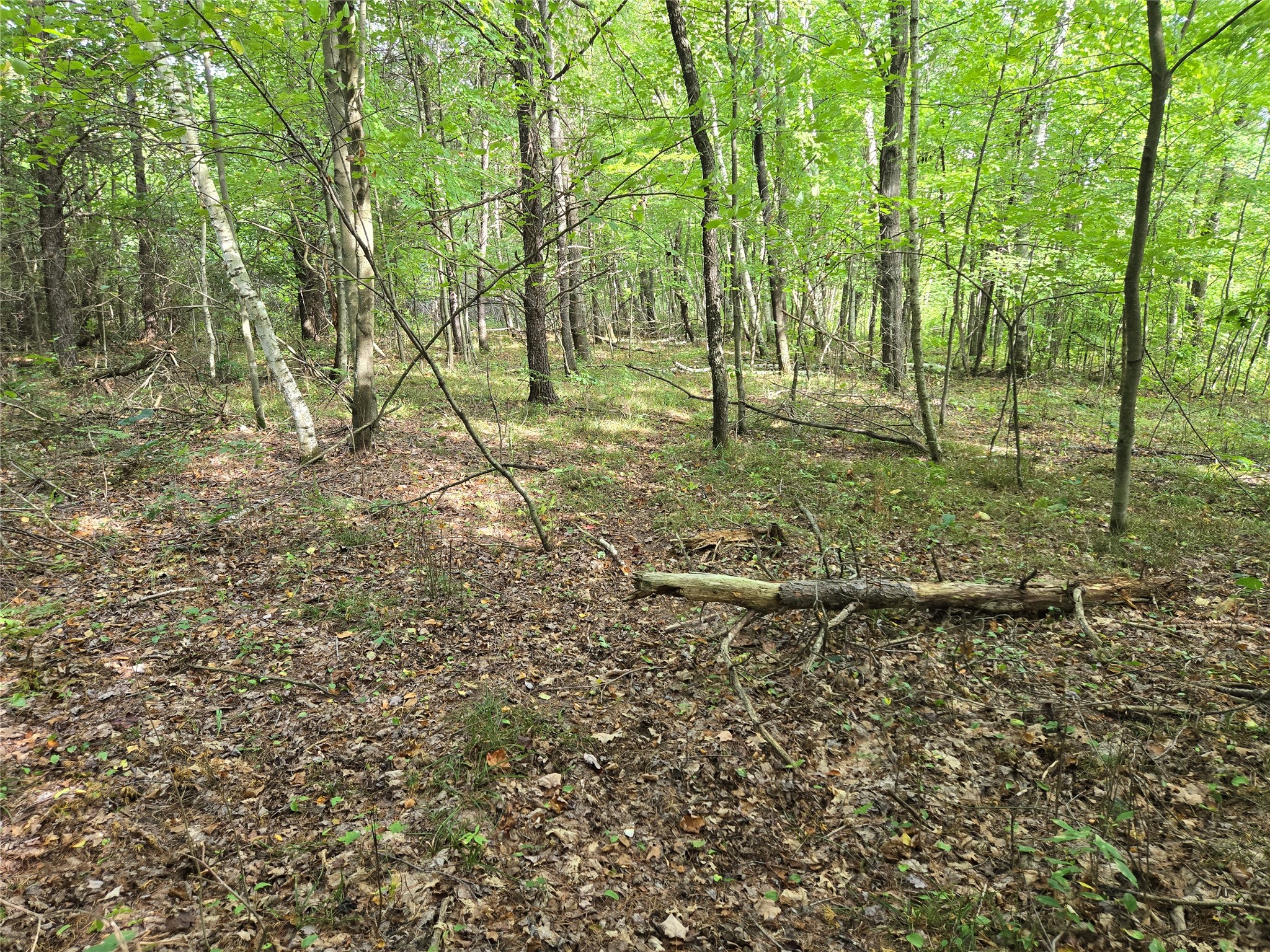 Property Photo #16
