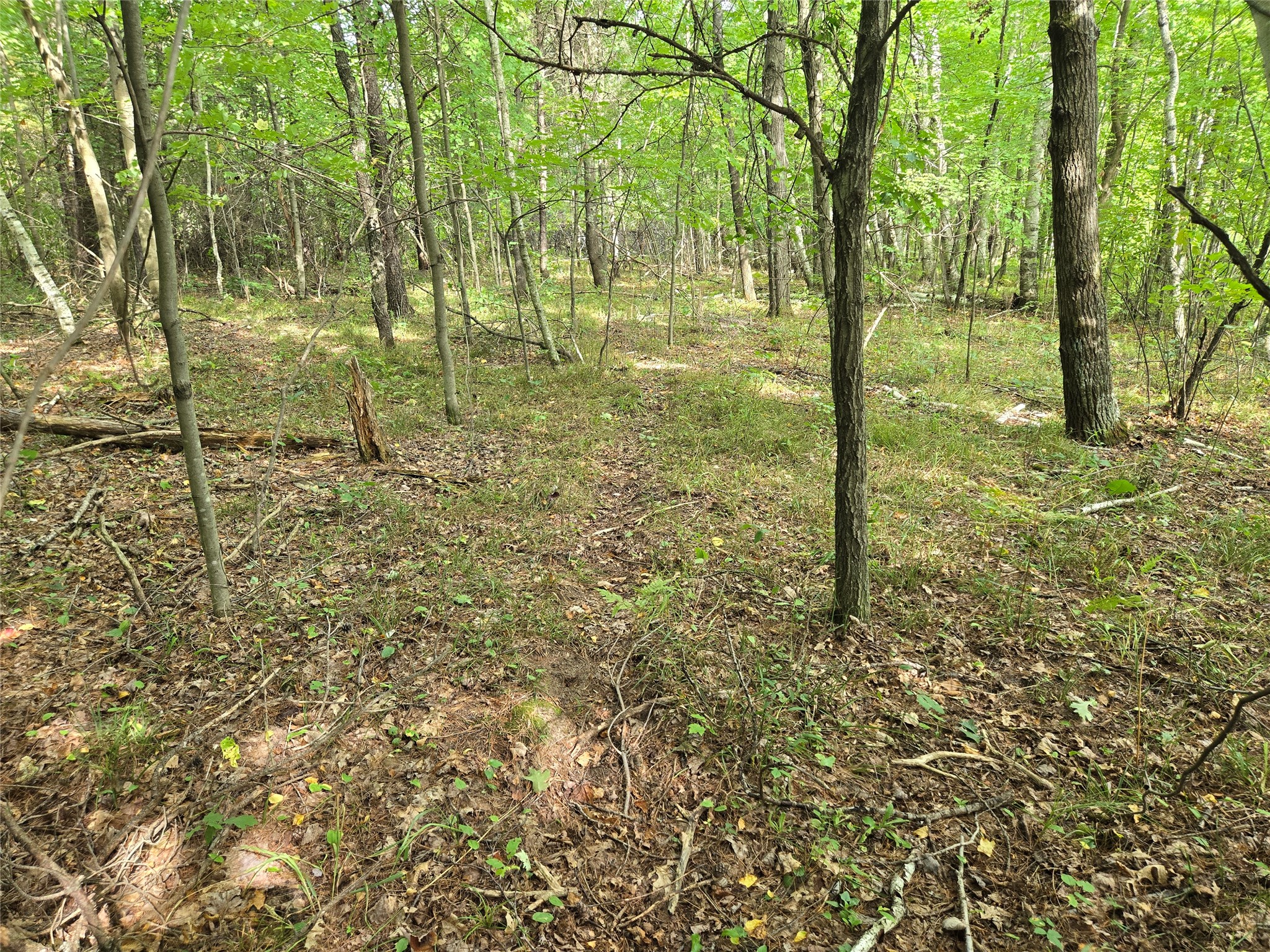 Property Photo #17